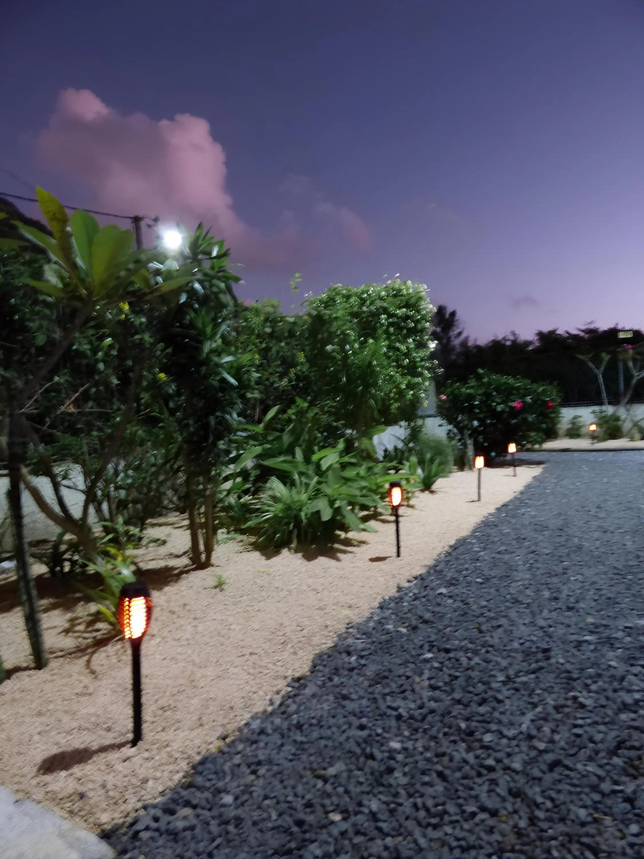 Garden in La Nuit Étoilée , Restez plus, payez moins !