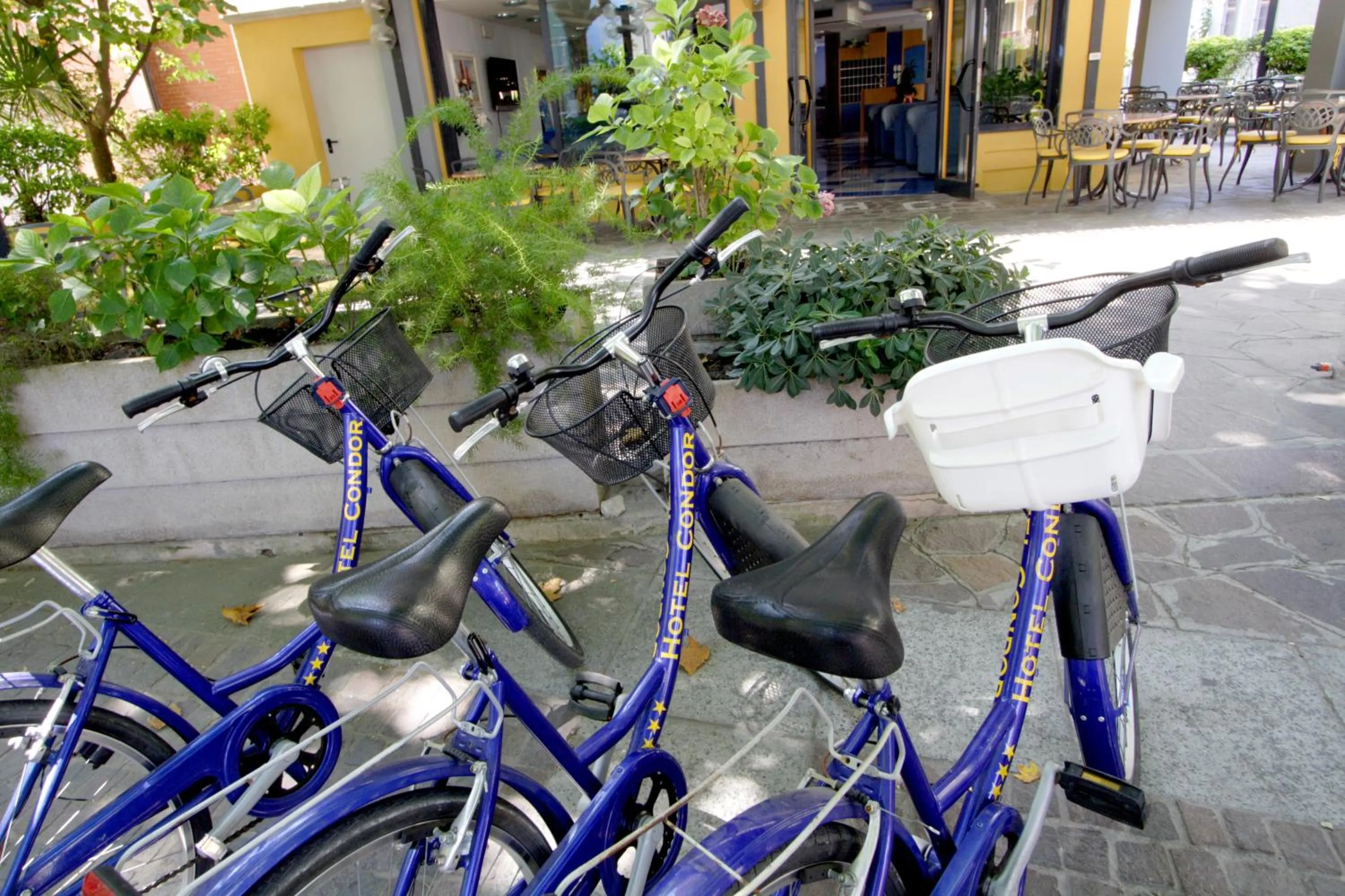 Cycling in Hotel Condor