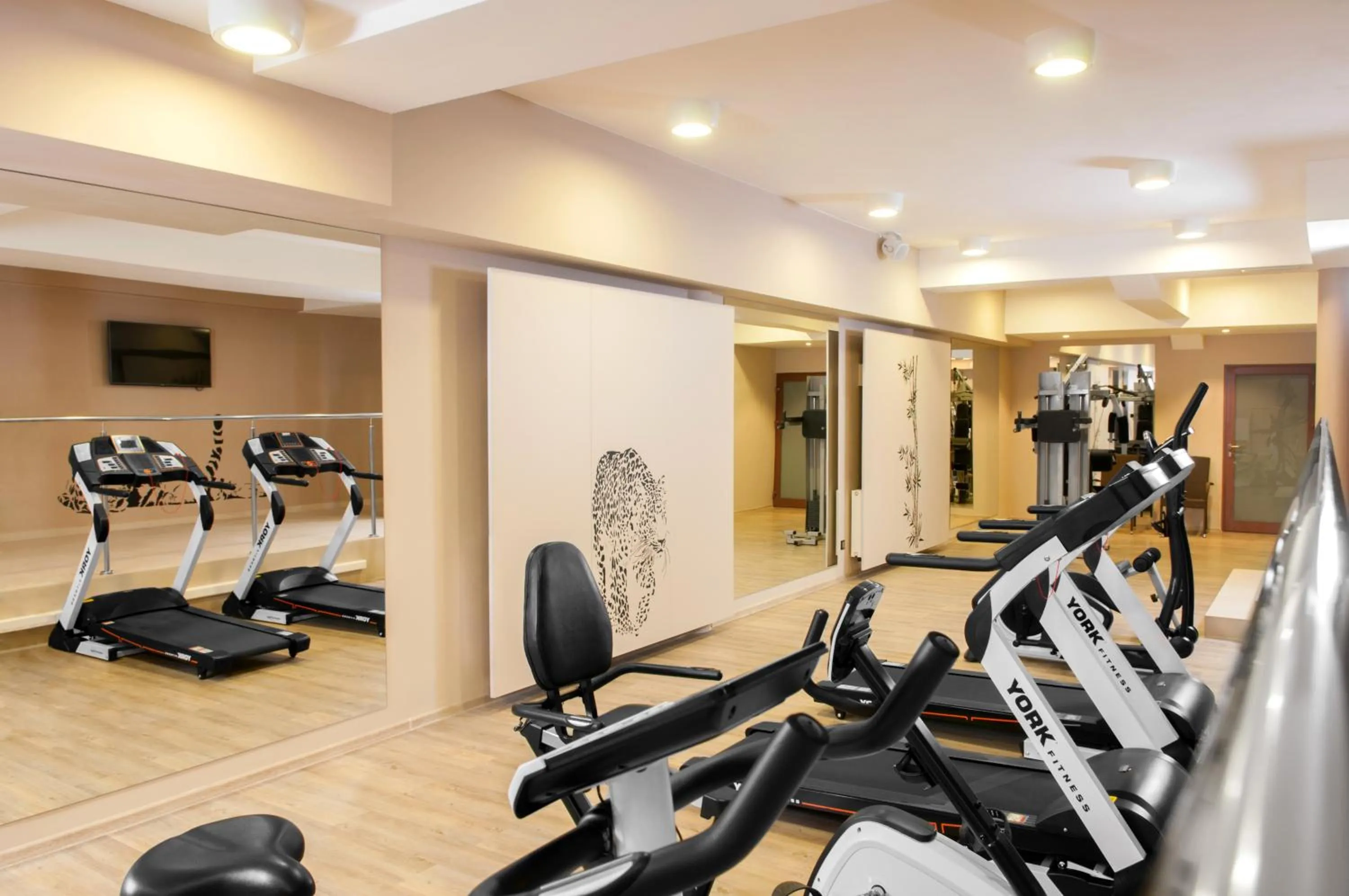 Fitness centre/facilities in Hotel Piano