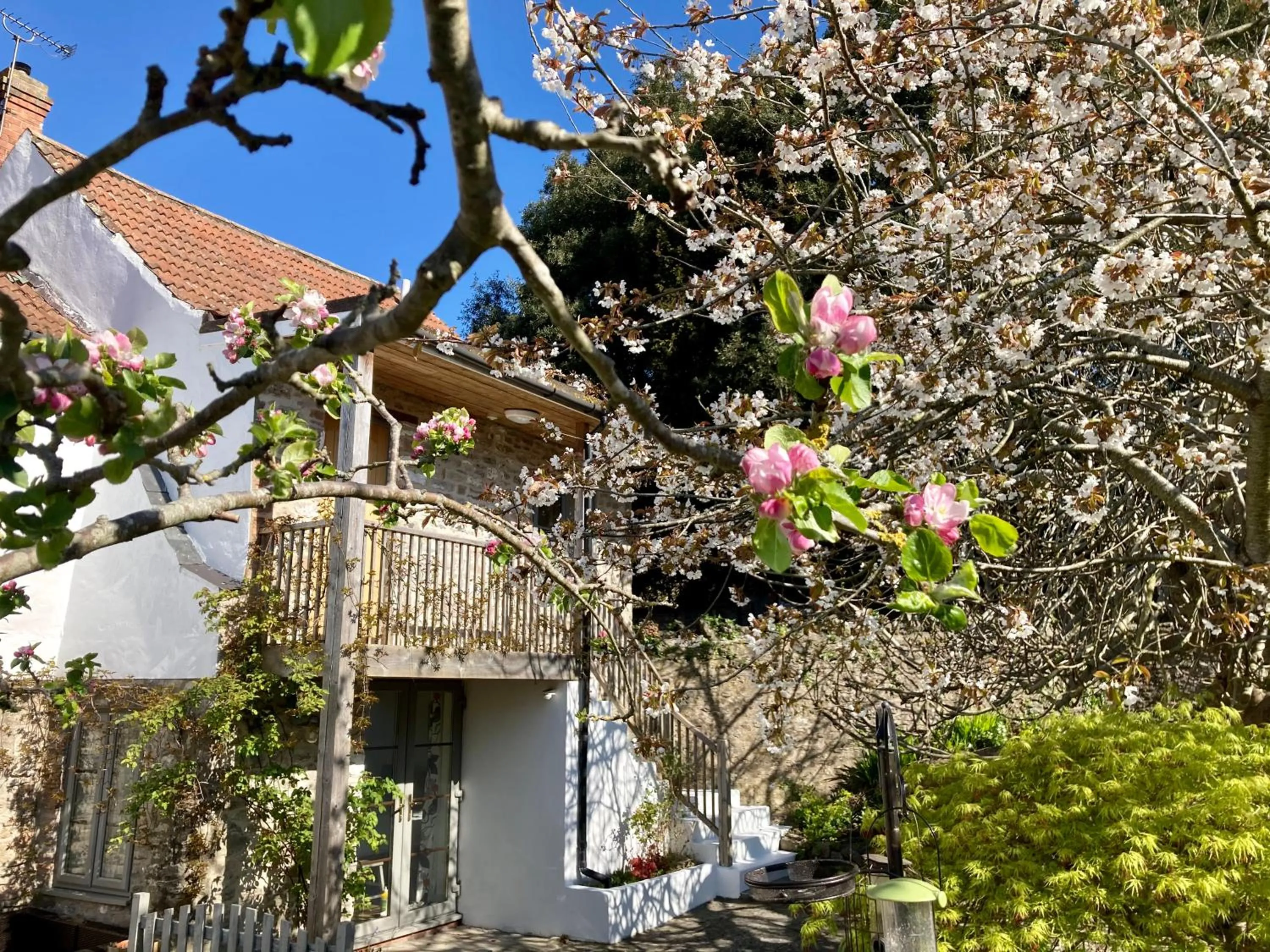 Property building in Westbury Cross House Bed & Breakfast