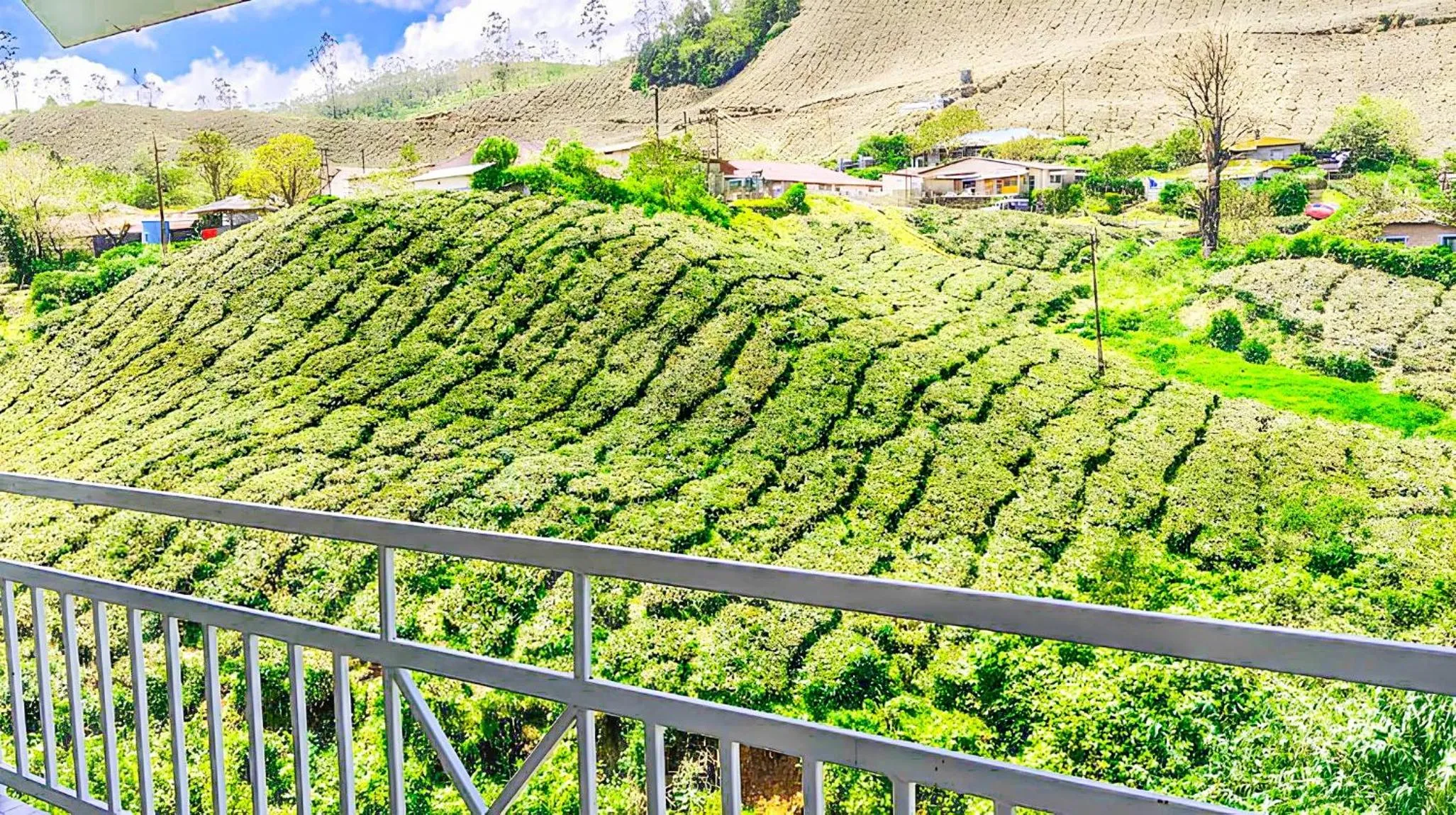 Day in Hotel C7 Munnar