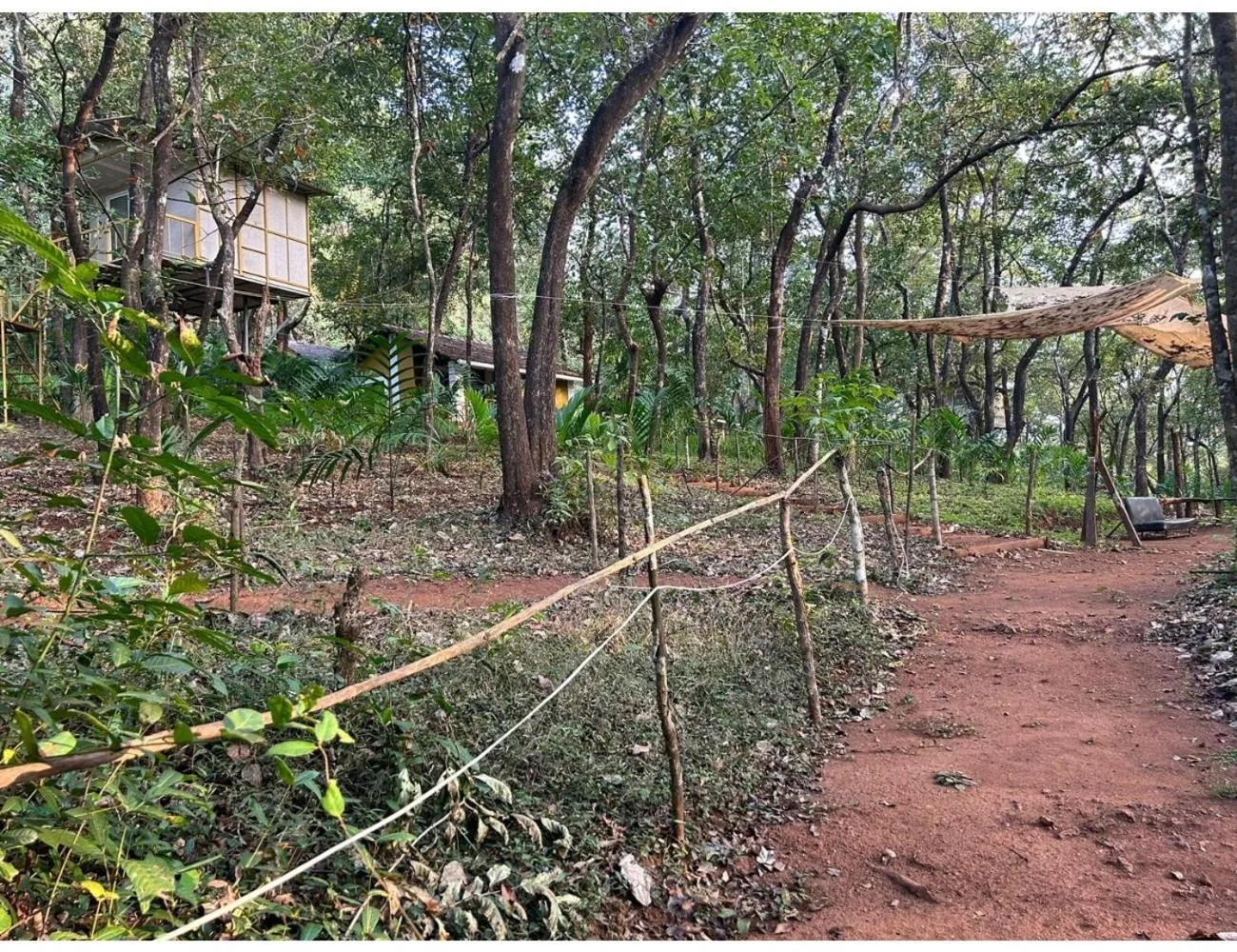 Natural landscape in The Earthen Nest Resort, Canacona, Goa