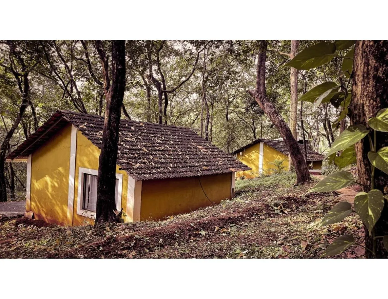 Property building in The Earthen Nest Resort, Canacona, Goa