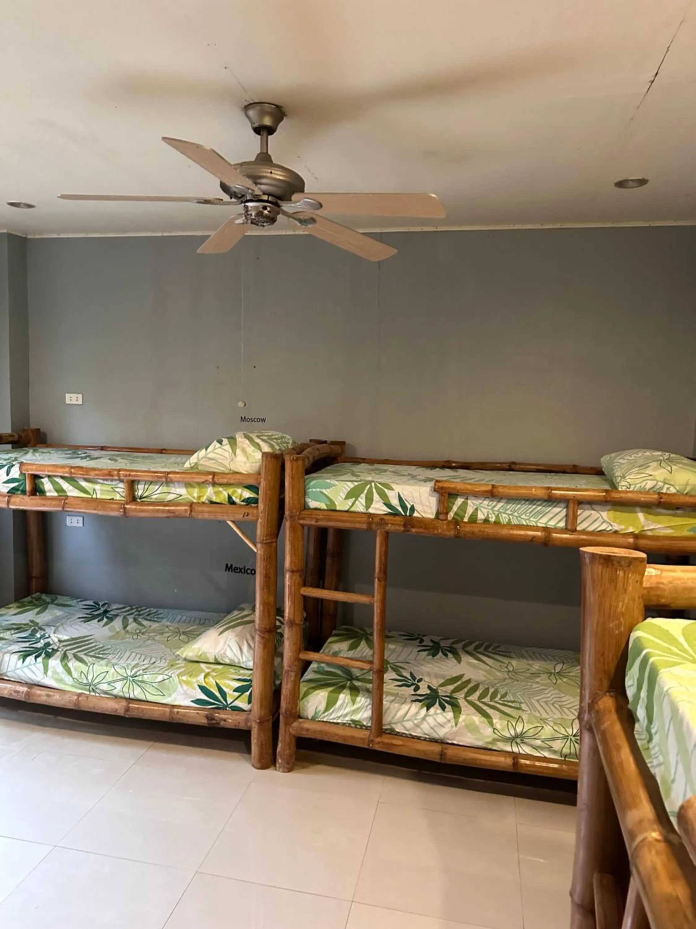 Bed in Lionfish Backpackers Hostel Malapascua