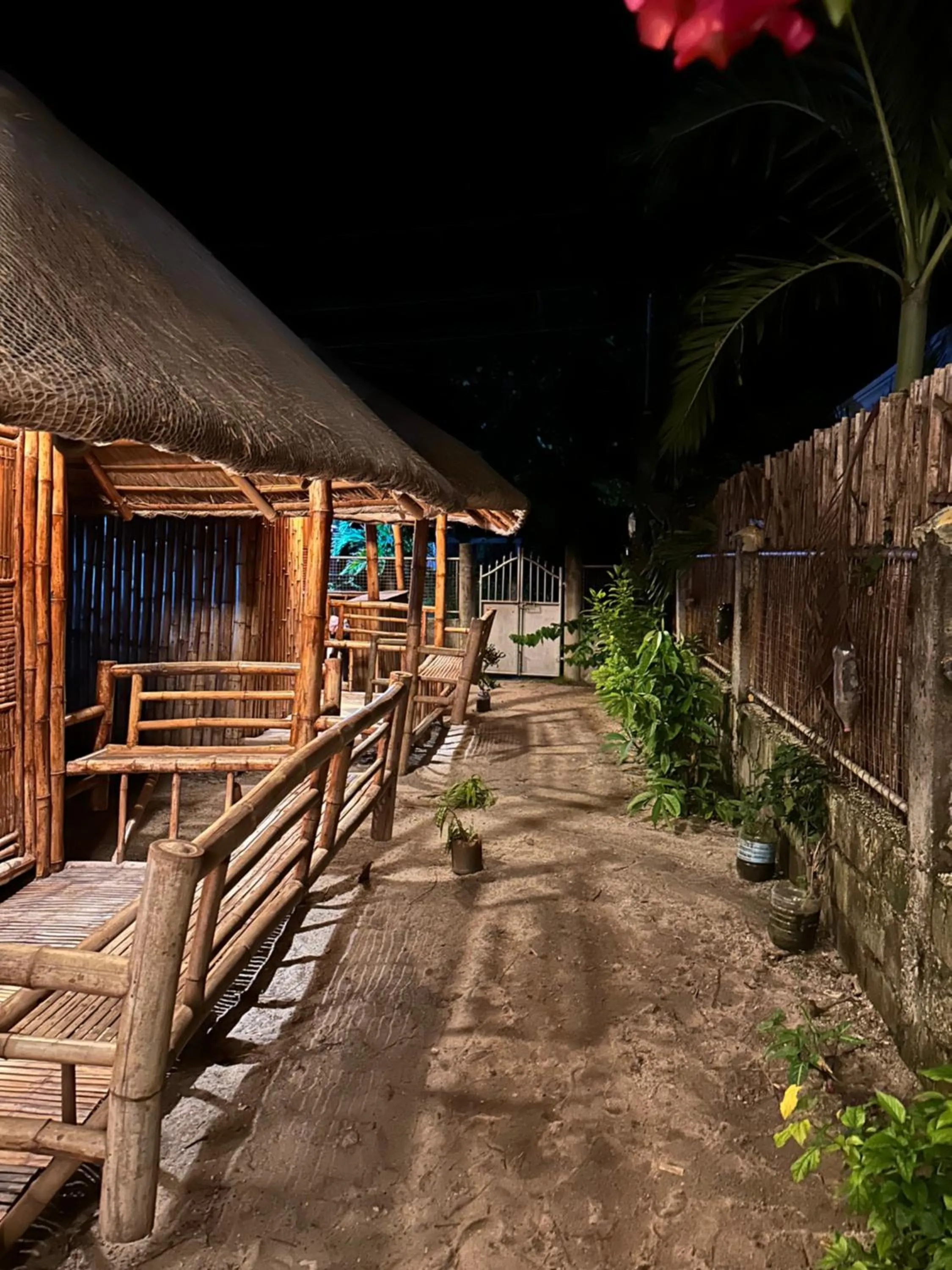 Lionfish Backpackers Hostel Malapascua