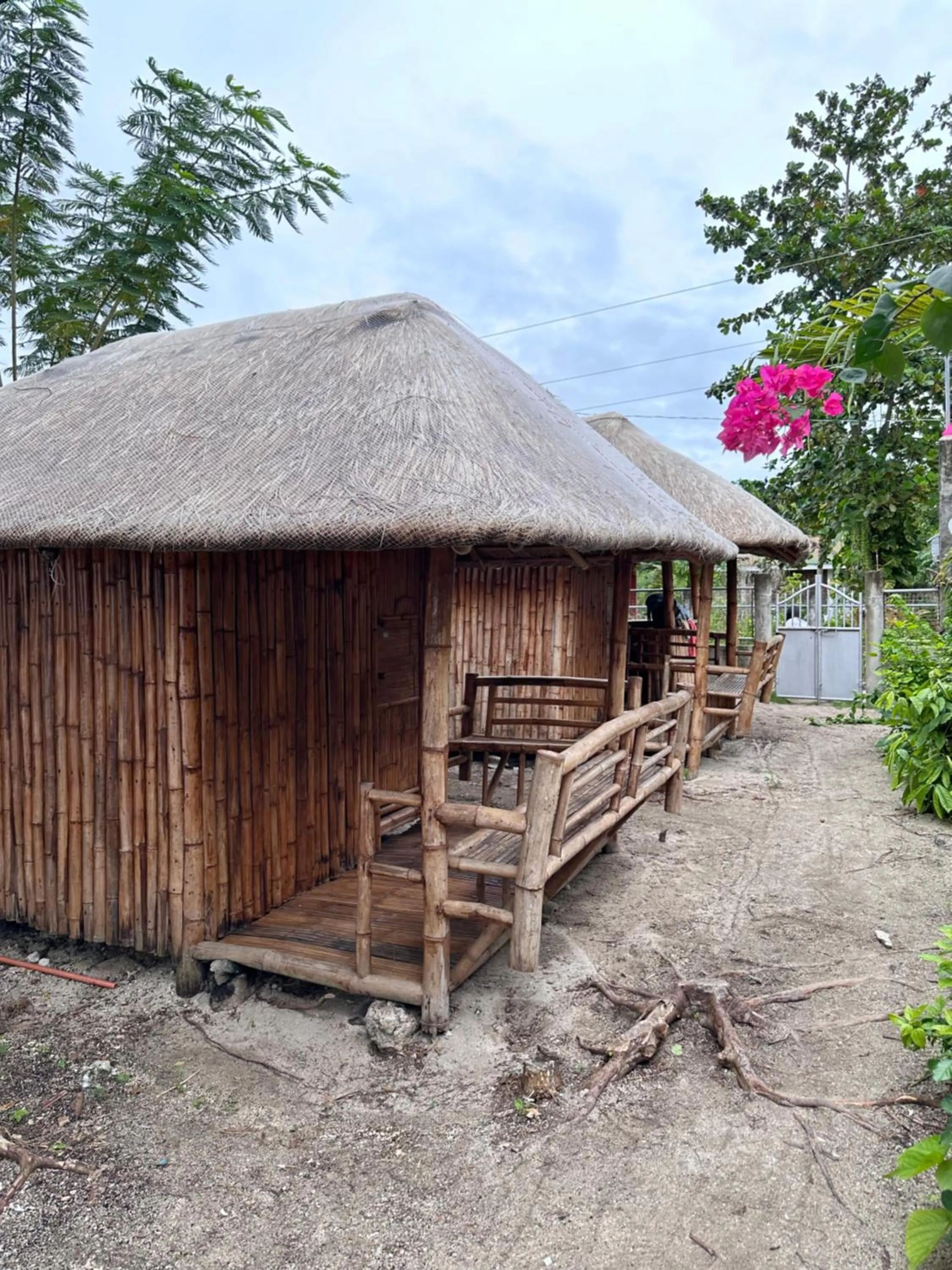 Lionfish Backpackers Hostel Malapascua