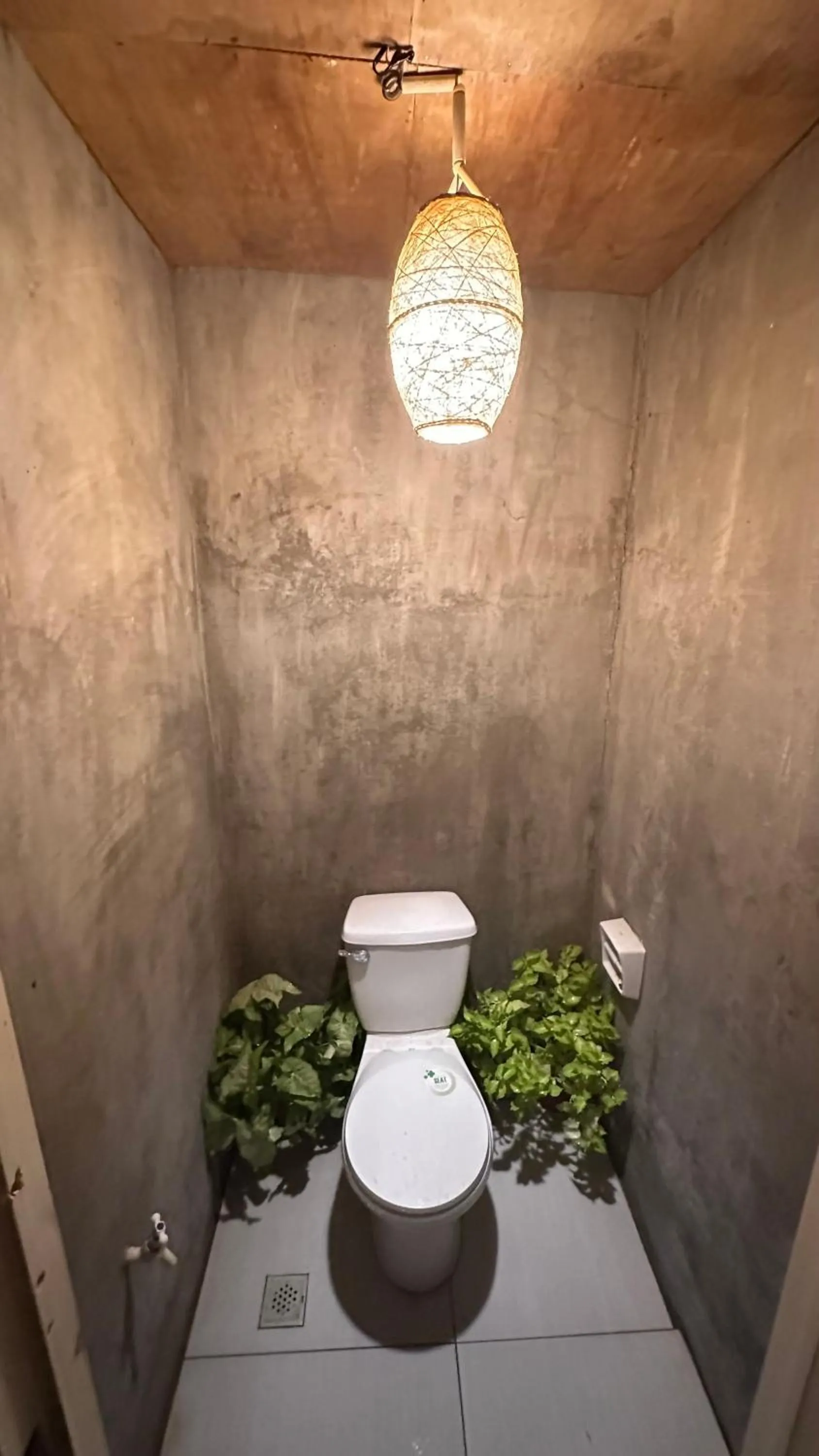 Lionfish Backpackers Hostel Malapascua