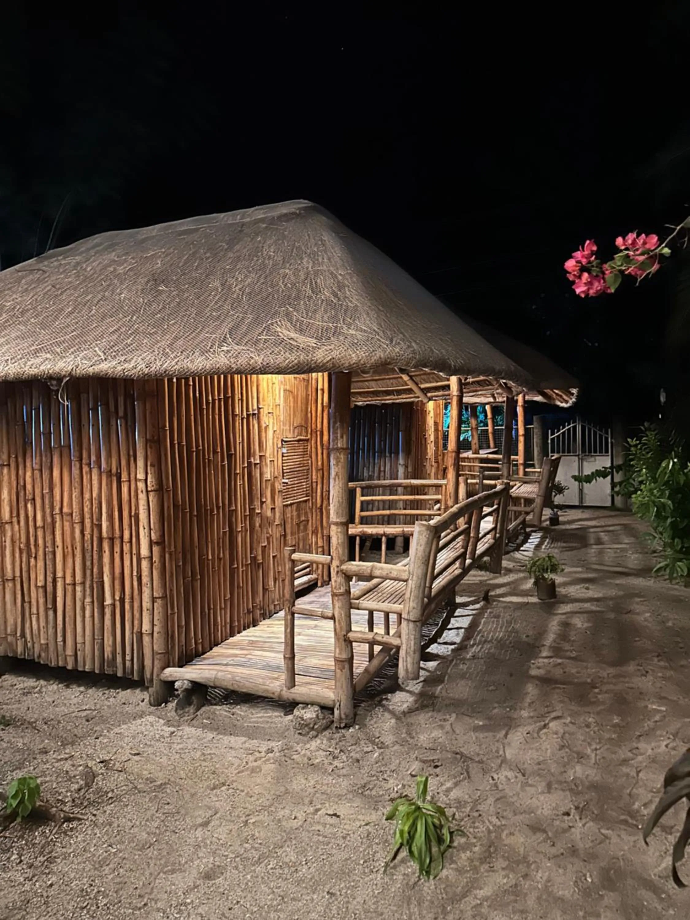 Lionfish Backpackers Hostel Malapascua