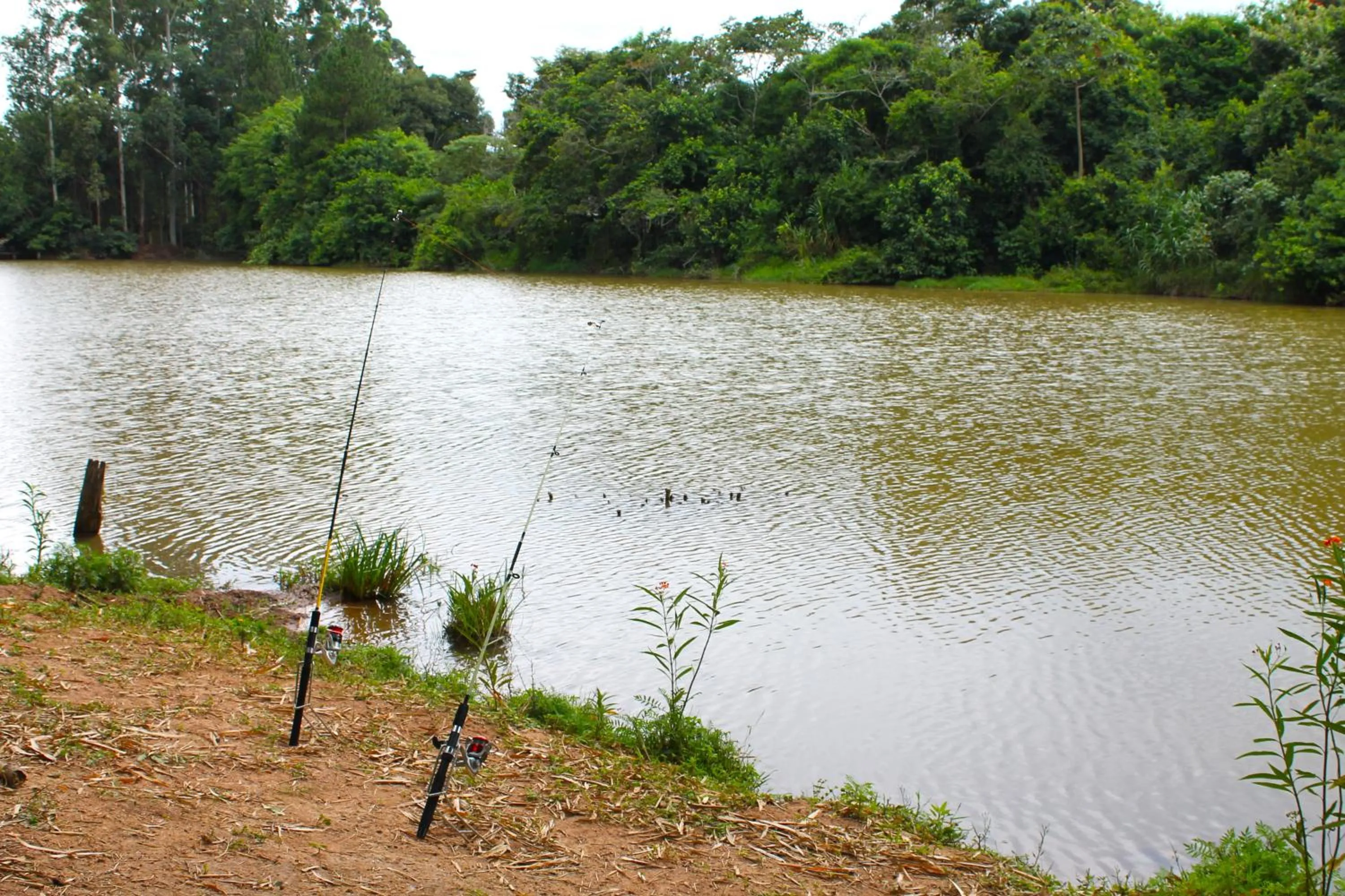 Activities in Hotel Fazenda Pirâmides