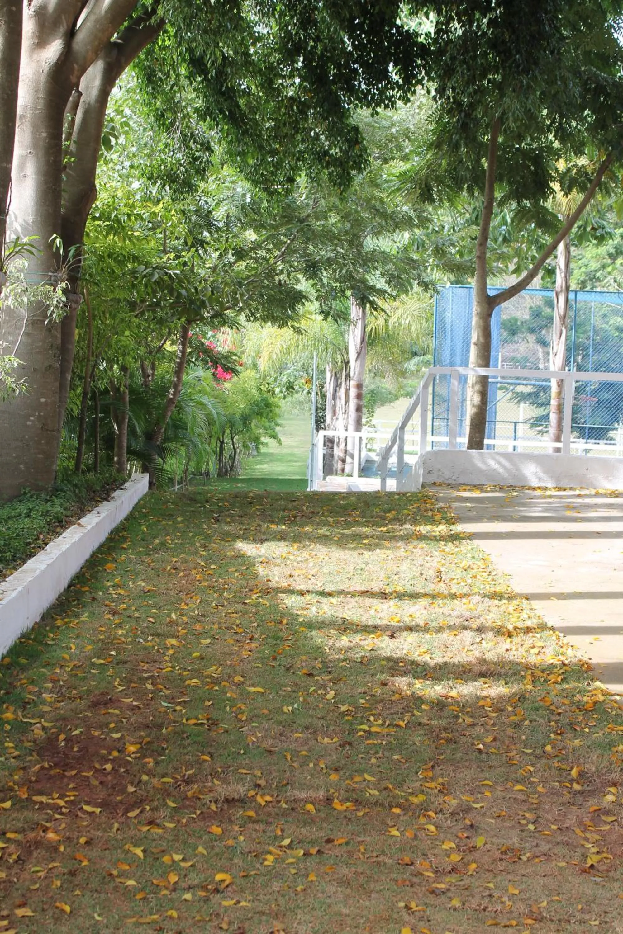 Natural landscape in Hotel Fazenda Pirâmides