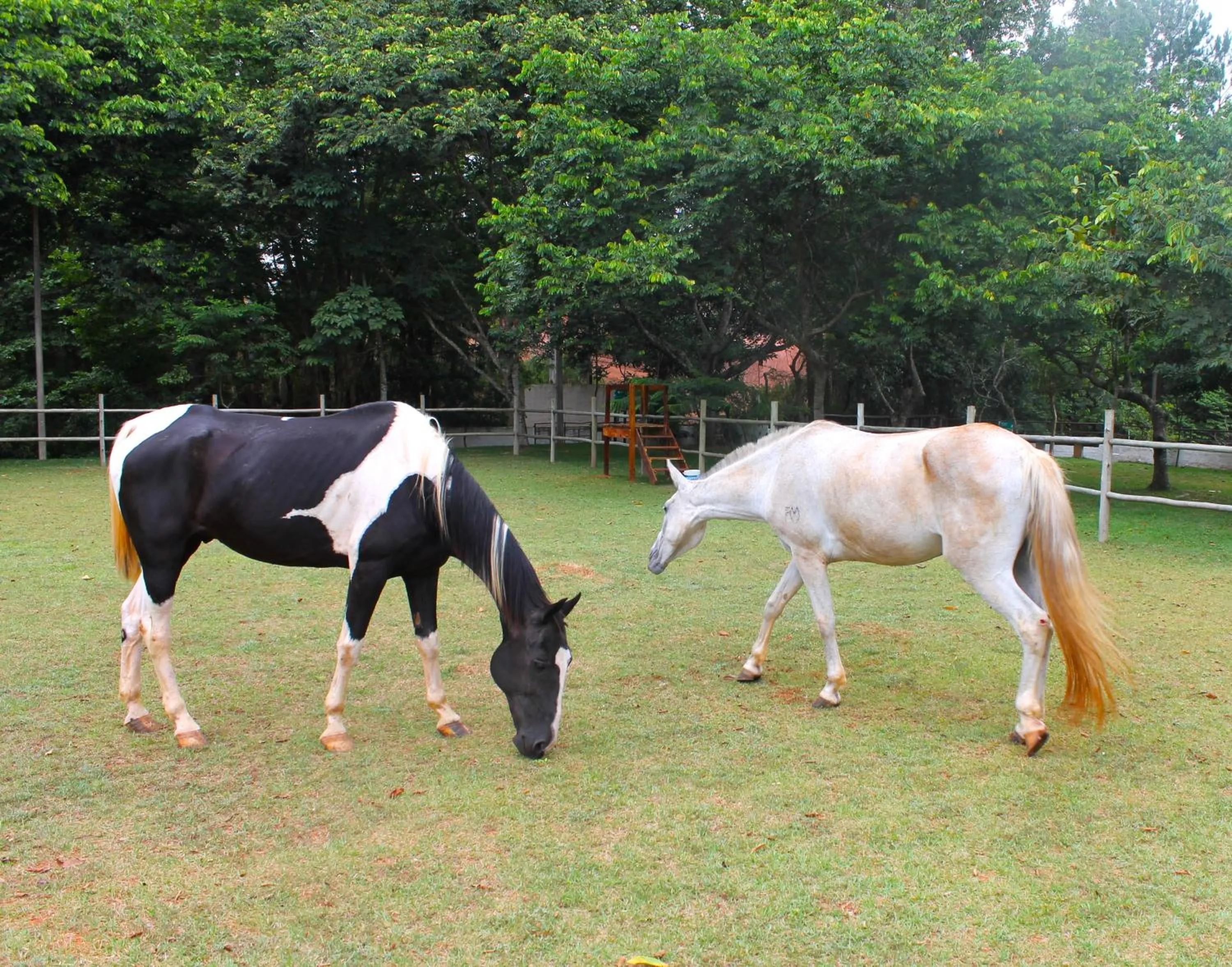 Activities in Hotel Fazenda Pirâmides