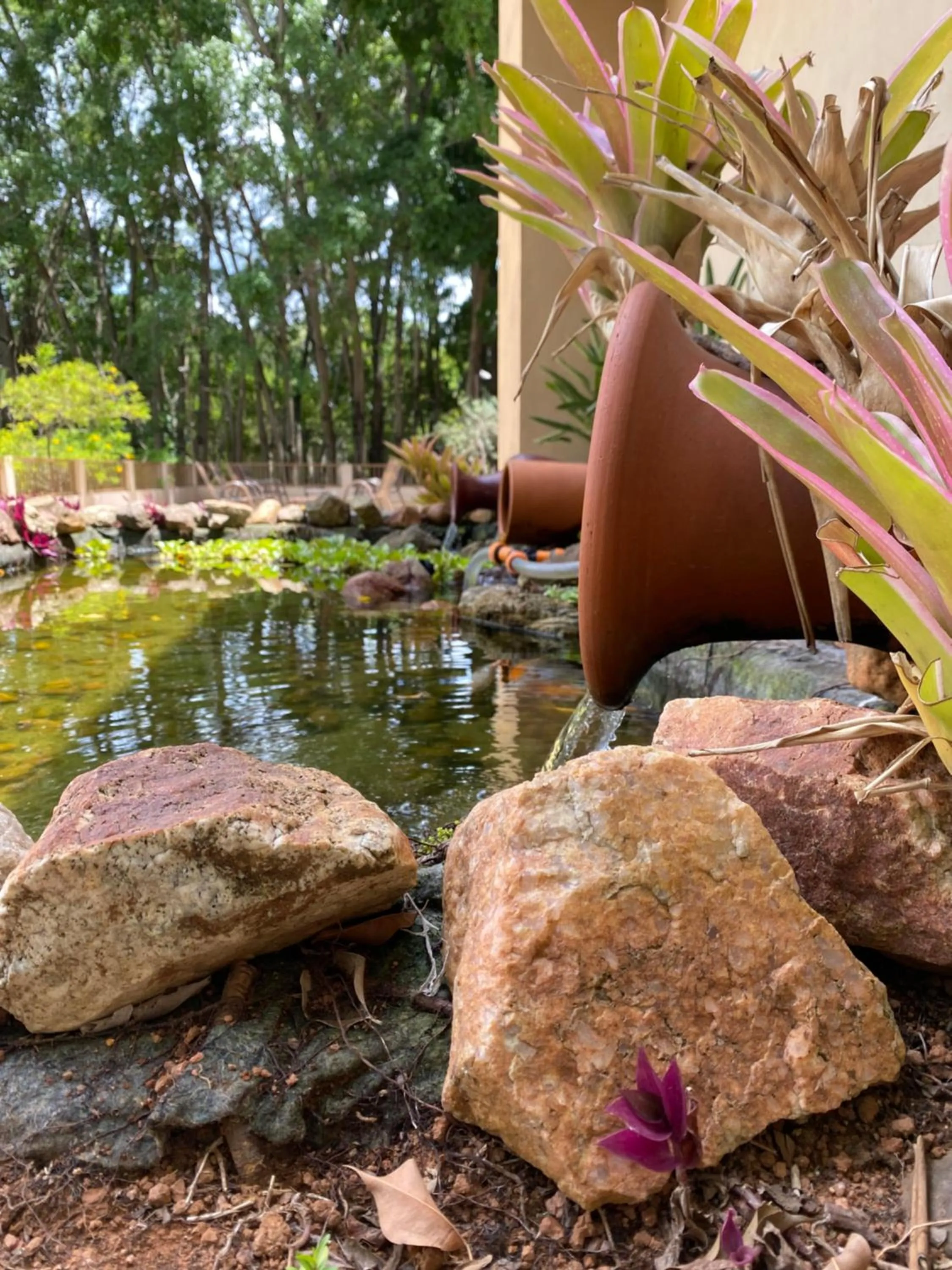Garden in Hotel Fazenda Pirâmides