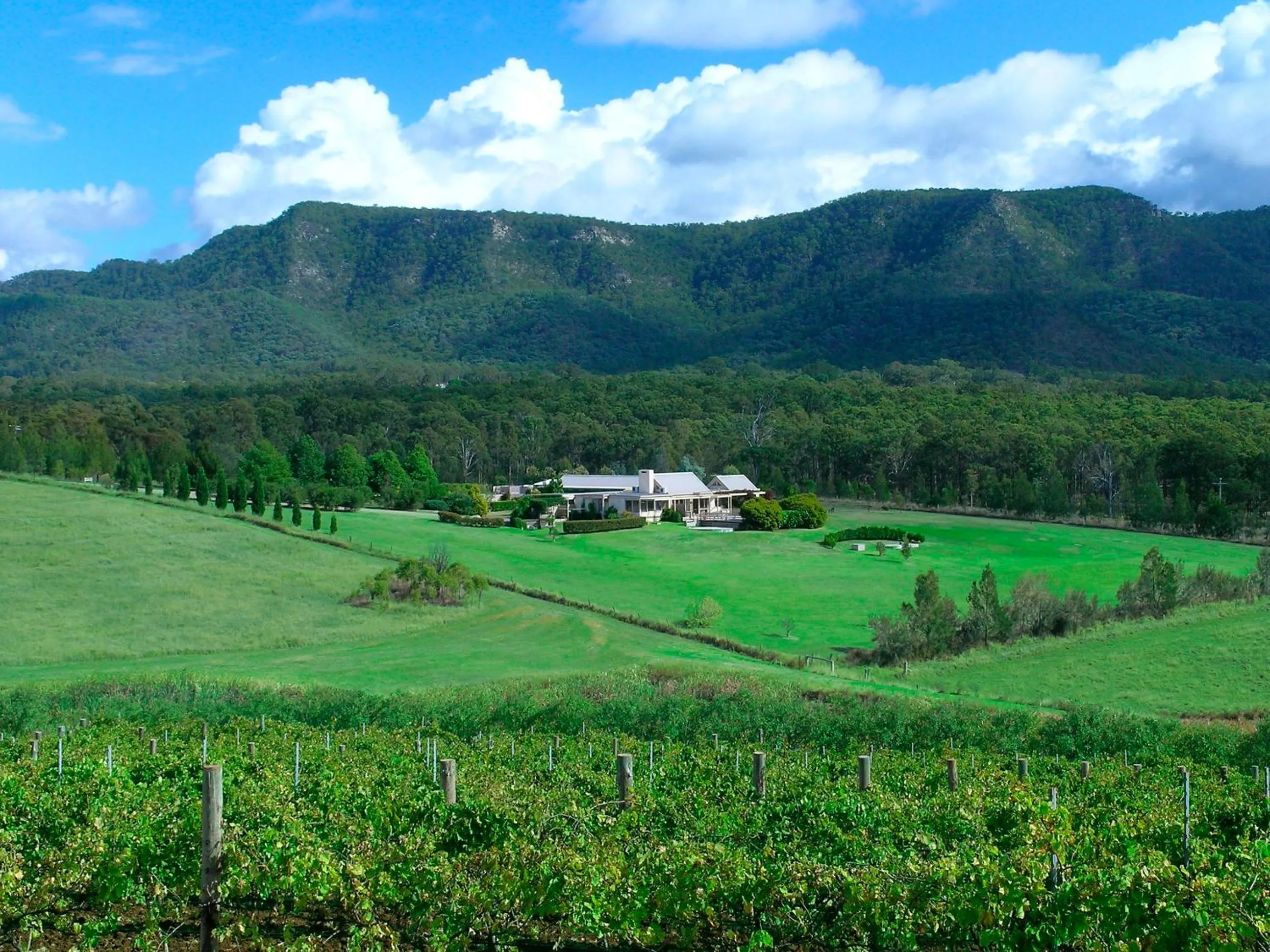 Garden in Grapevines Boutique Accommodation