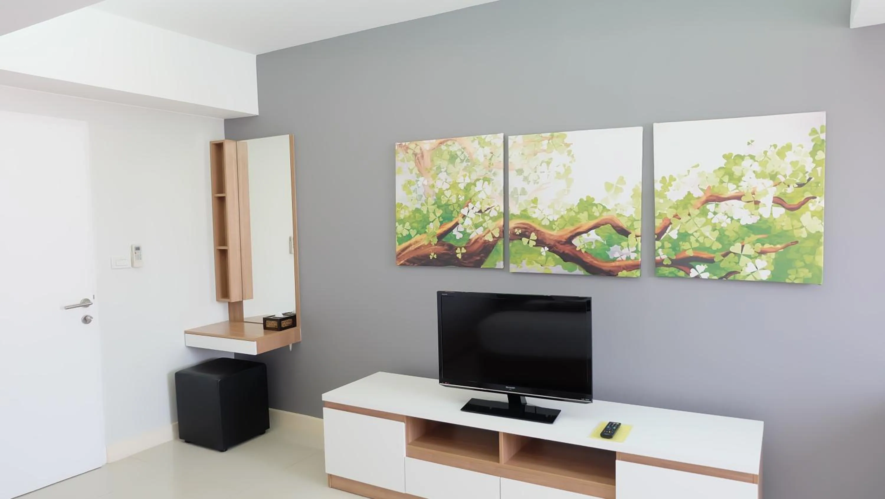 TV and multimedia in Racha Residence