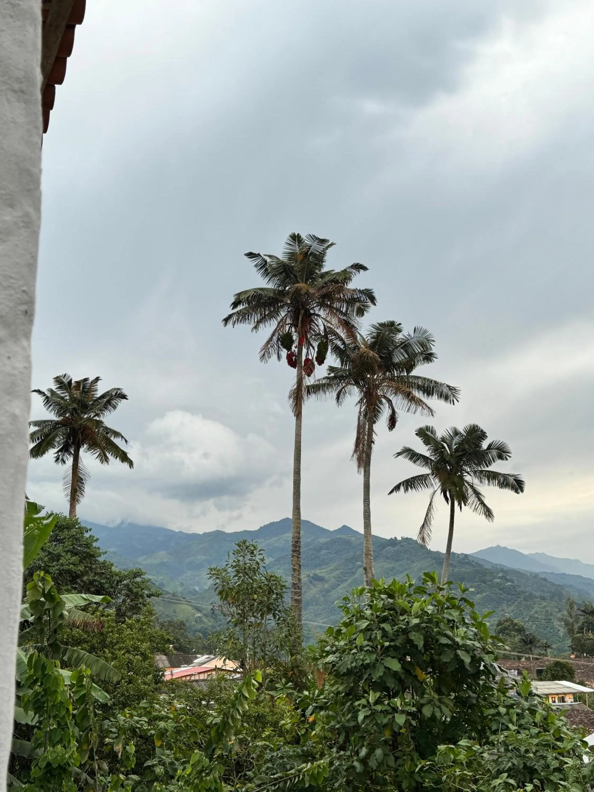 Mountain view in Cocli Hotel Boutique Salento