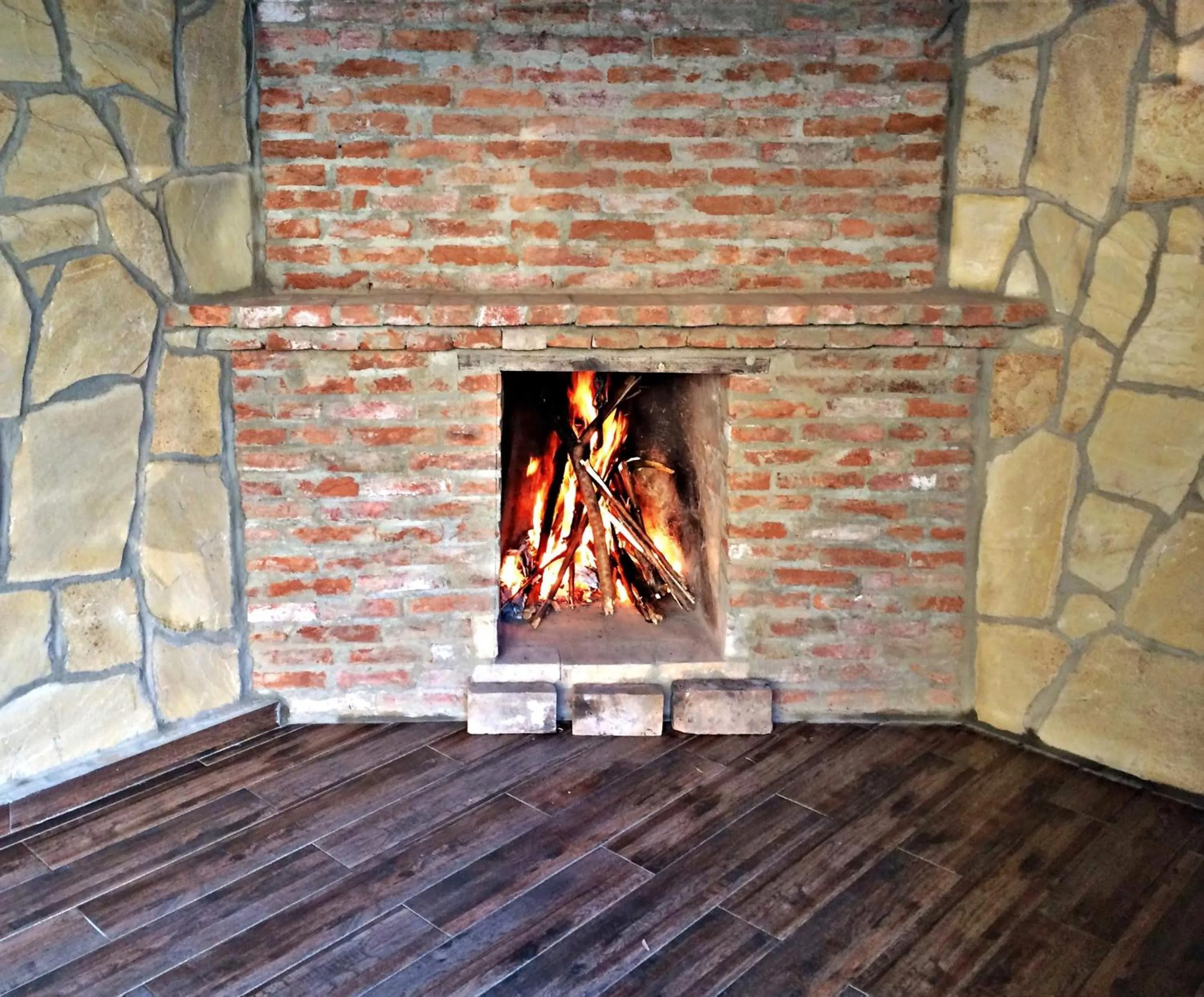 Garden in Continental Hotel