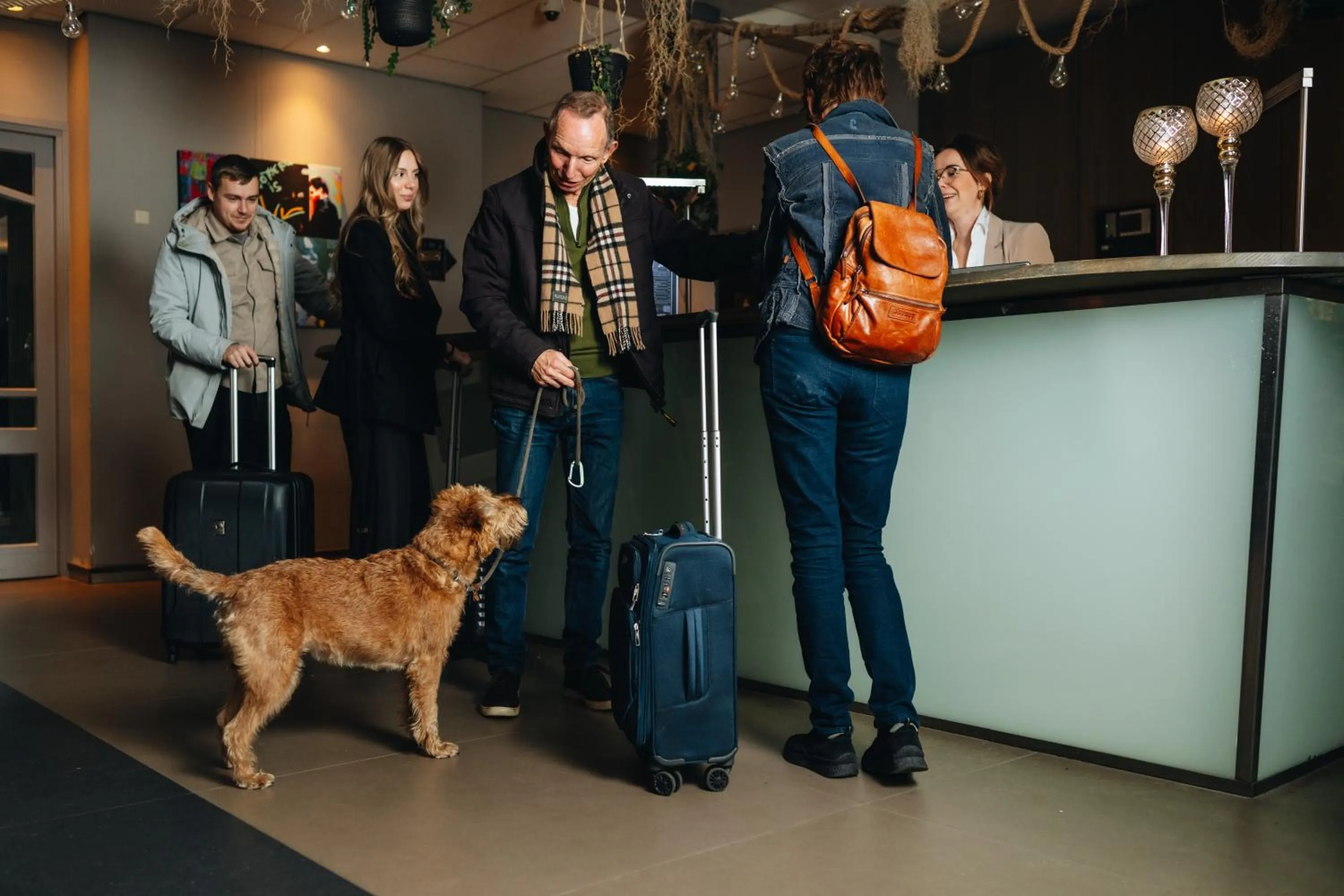 Pets in Hotel De Zeeuwse Stromen