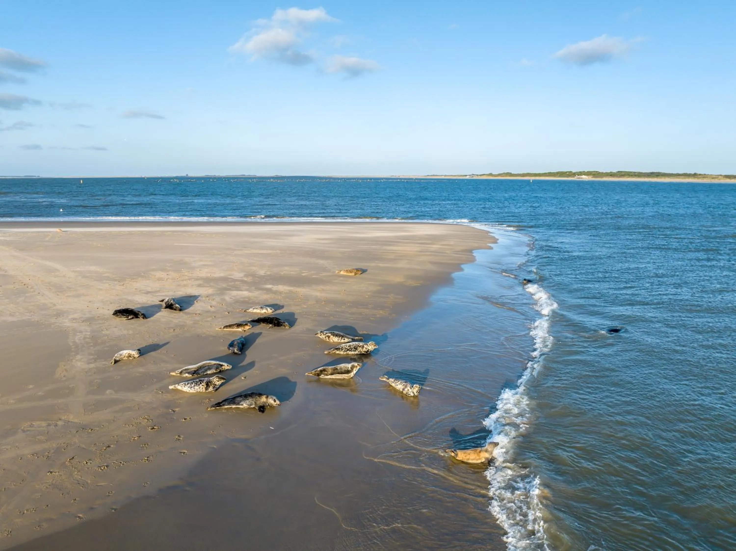 Beach in Hotel De Zeeuwse Stromen