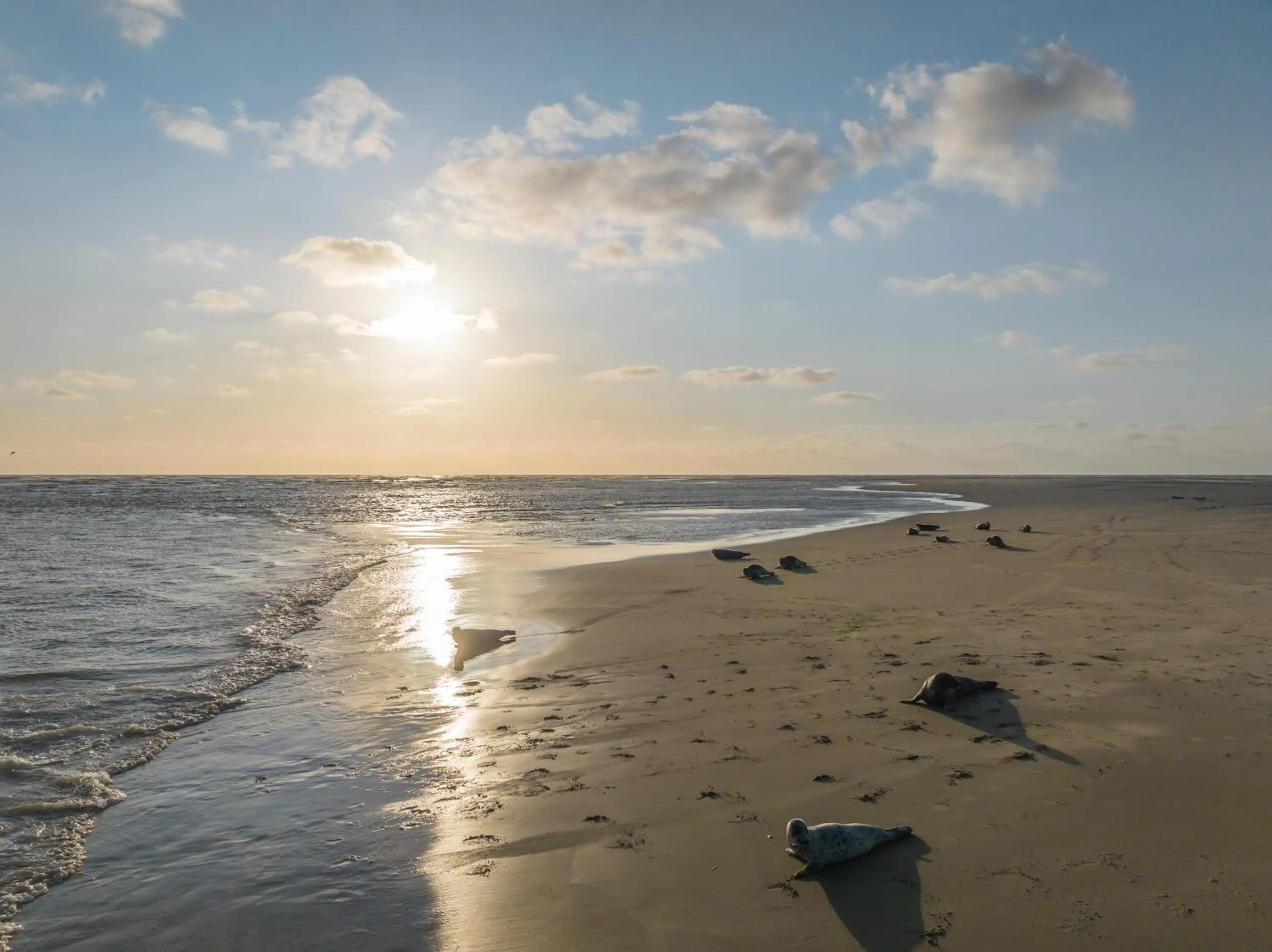 Beach in Hotel De Zeeuwse Stromen