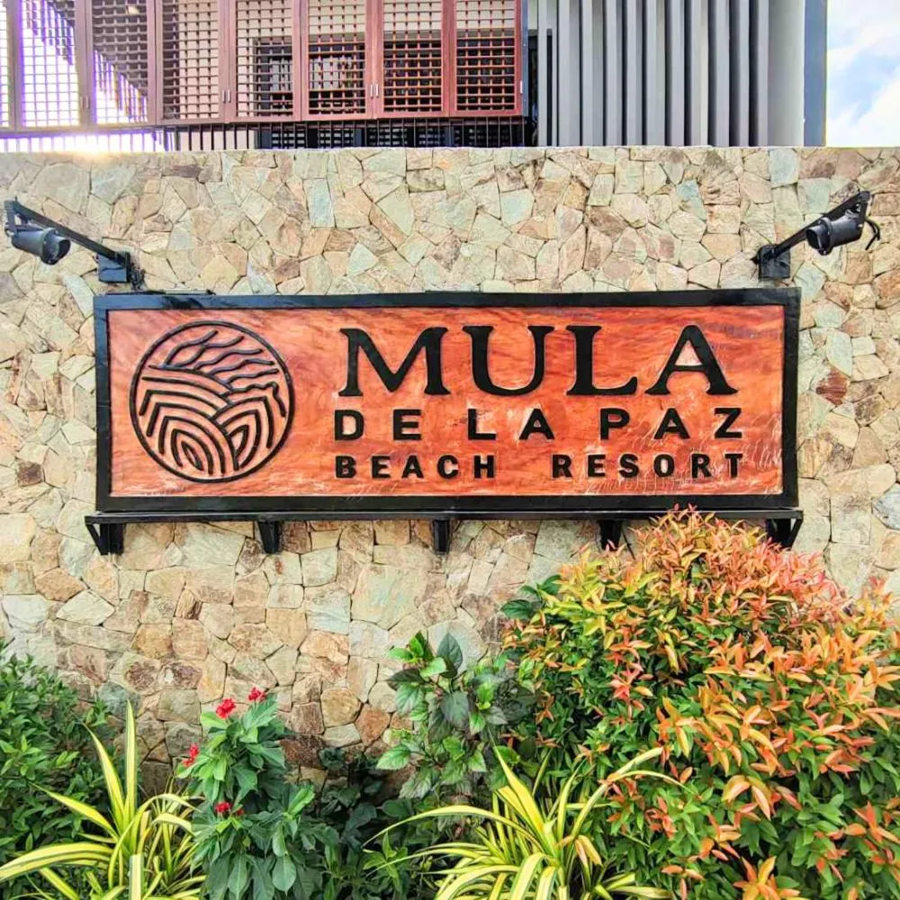 Day in Mula De La Paz