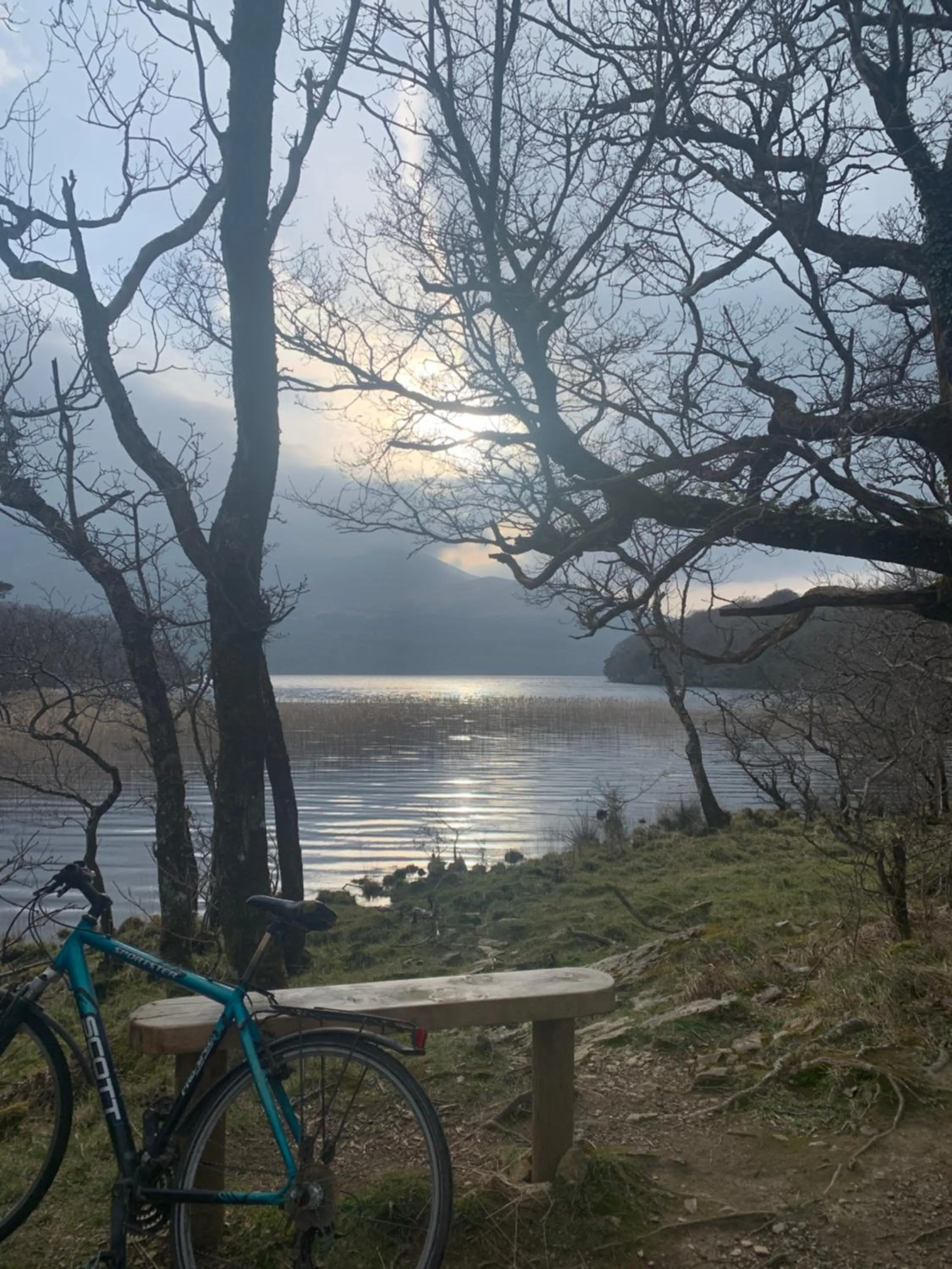 Natural landscape in Cillcearn House
