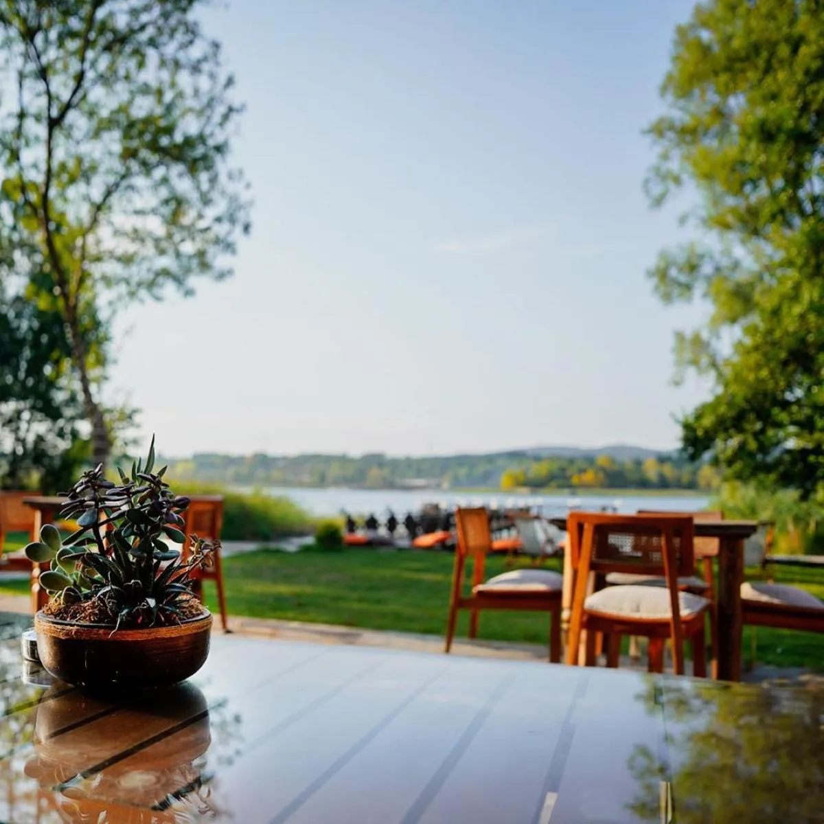 Restaurant/places to eat in Vital Göl Sapanca Özel Havuzlu Bungalov & Villa