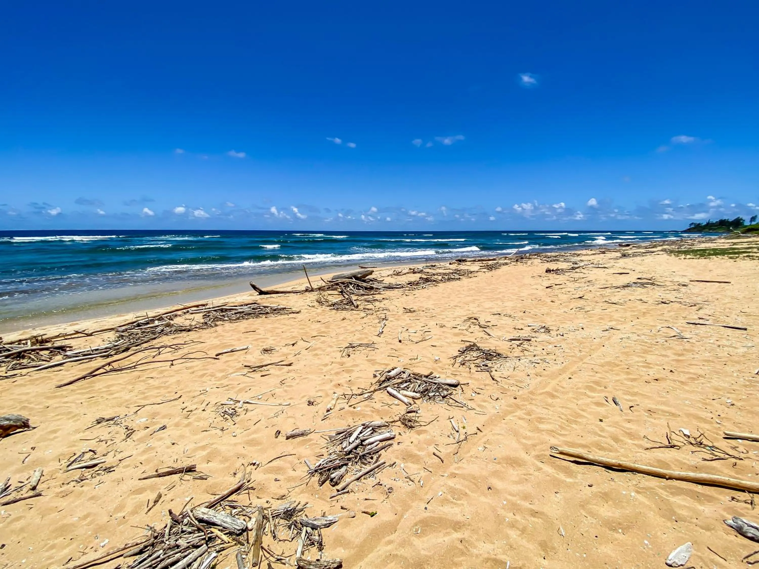 Kauai Beach Resort Room 2309
