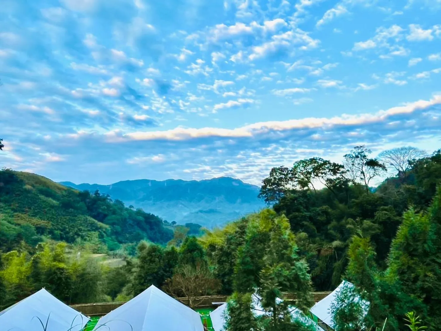 Spring in Grow Tree Glamping