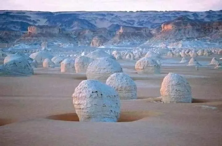 Sand Rose Bahriya Hotel