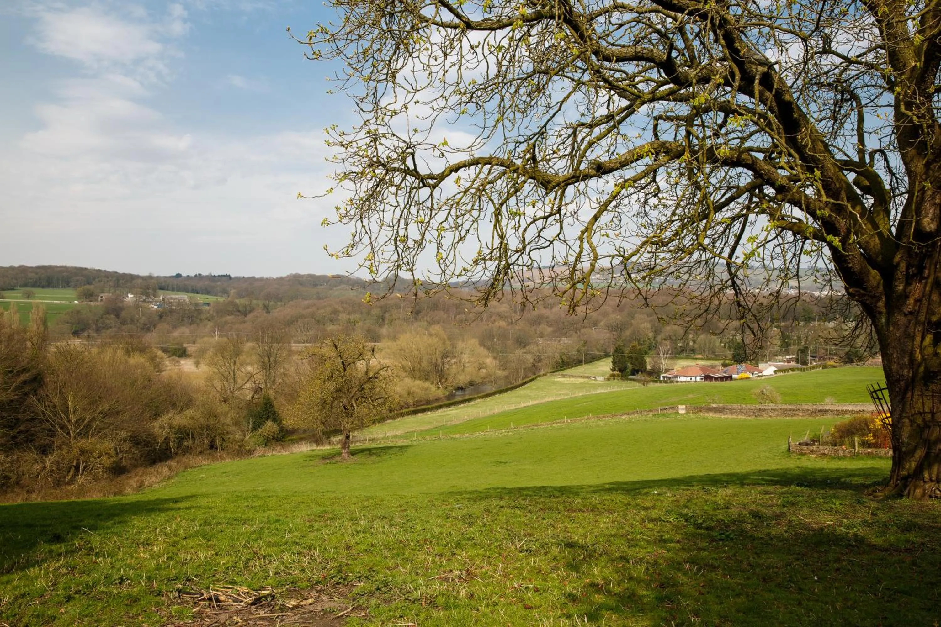 Garden view in Mercure Bradford, Bankfield Hotel