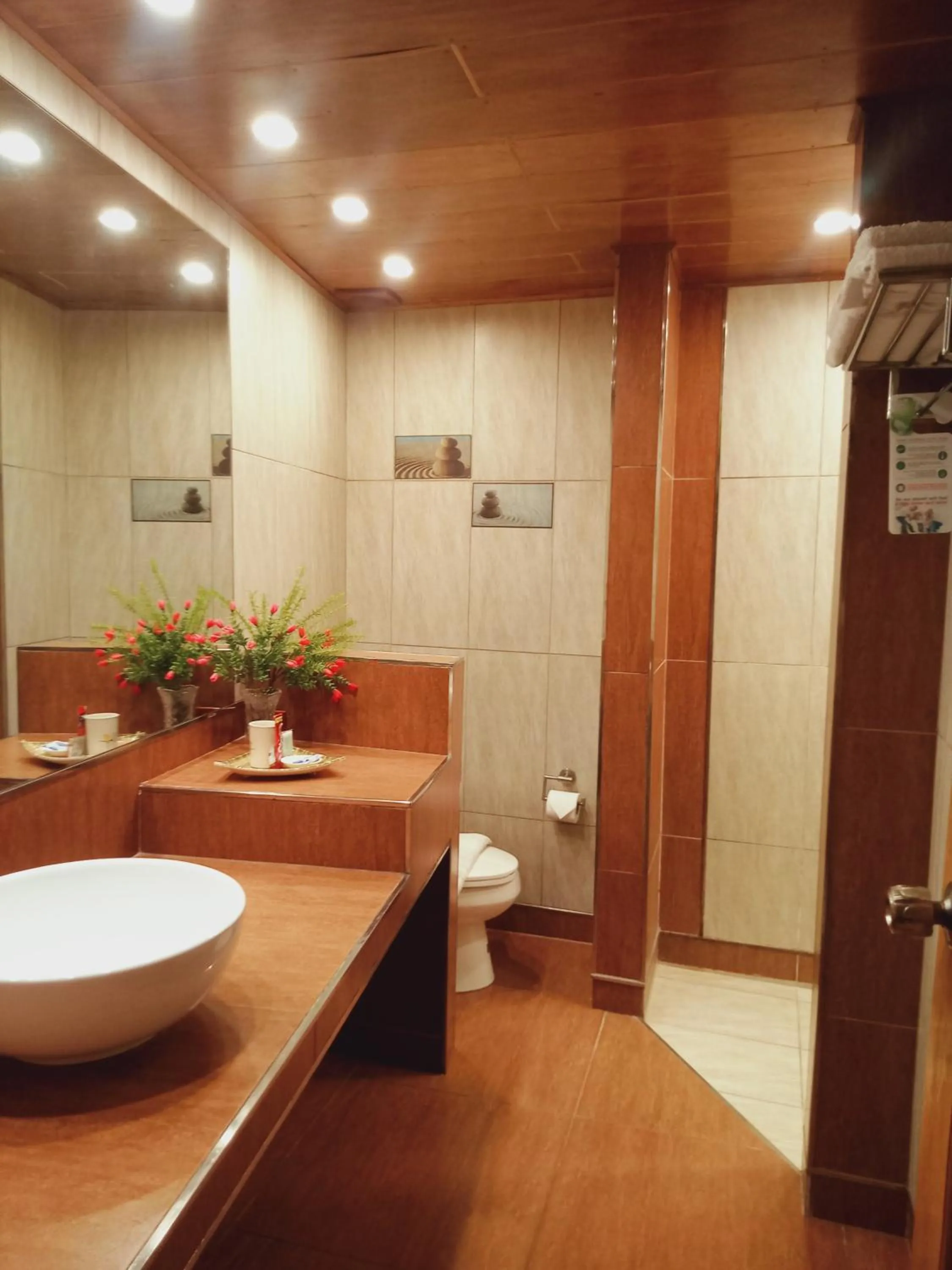 Shower in CITI HOTEL