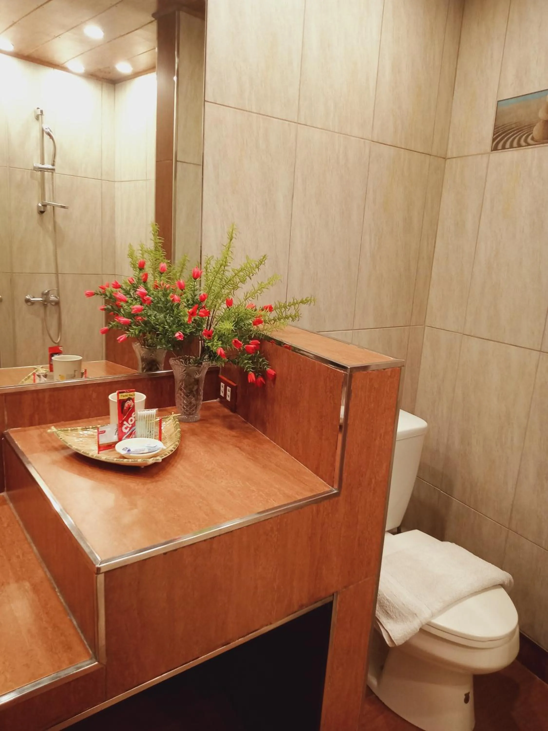 Toilet in CITI HOTEL