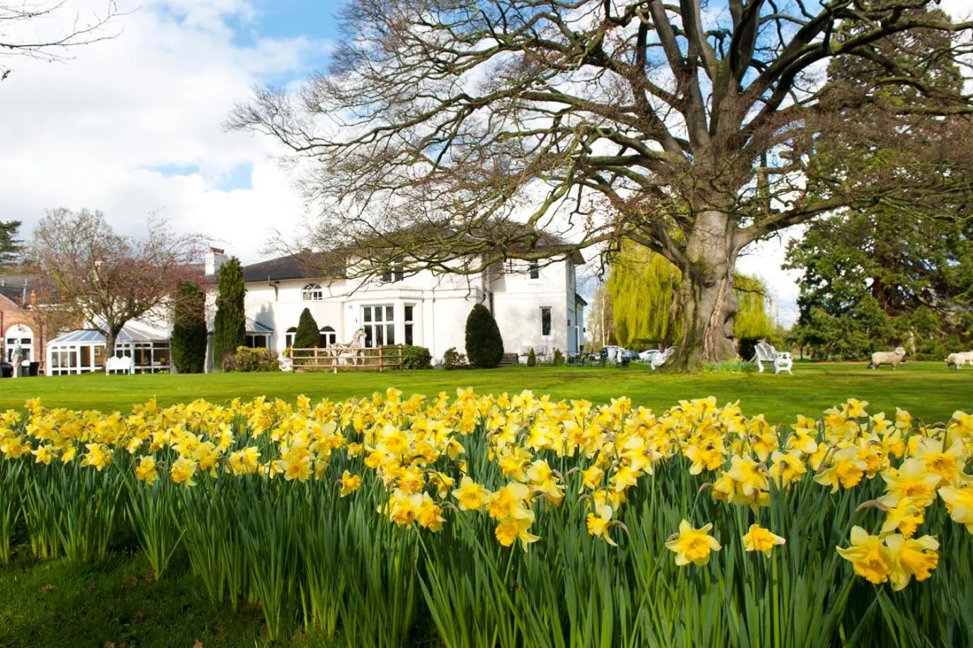 Property building in Wrexham Llyndir Hotel by Belvilla