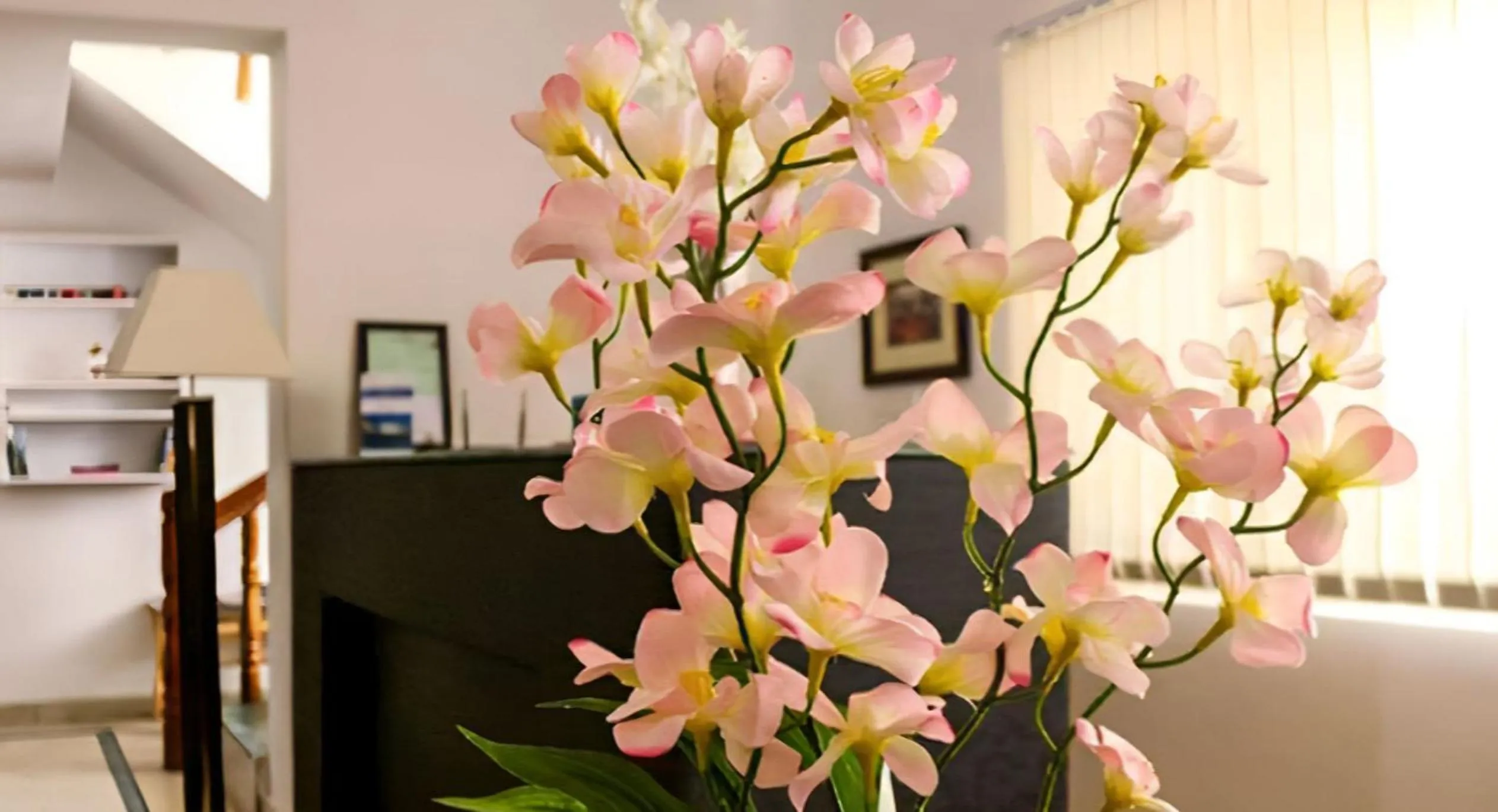 Lobby or reception in Gomang Boutique Hotel