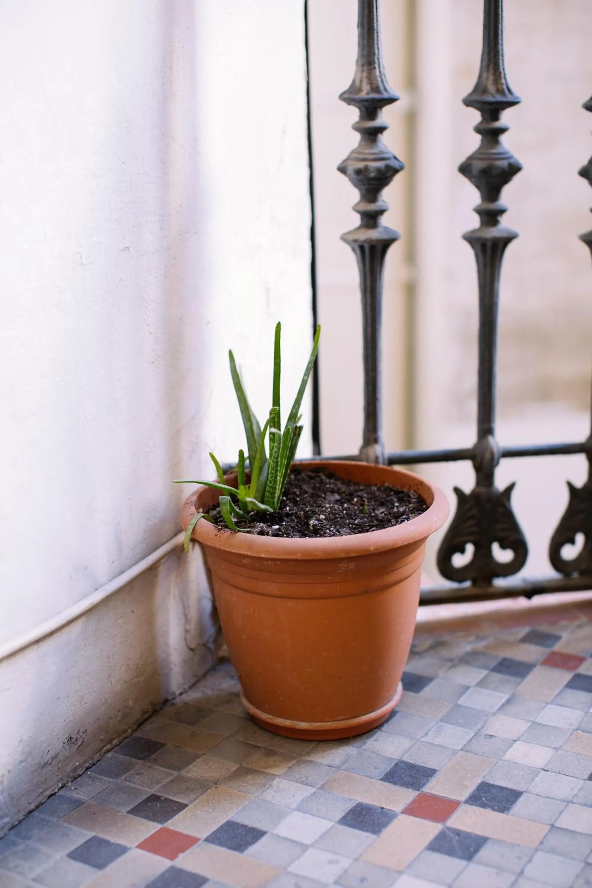 Balcony/Terrace in Hostal Eixample