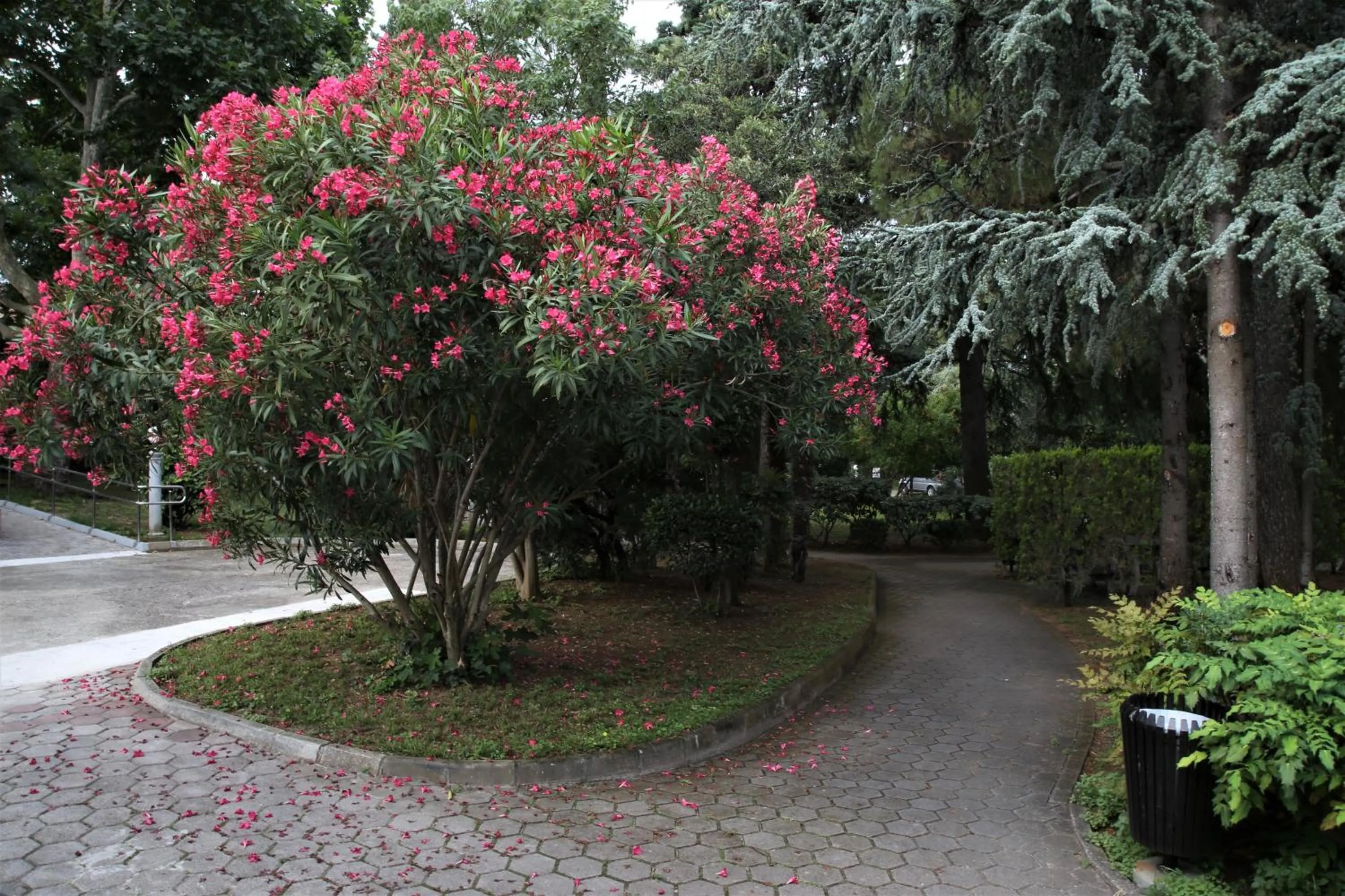 Garden in FLORAMARE HEALTH RESORT