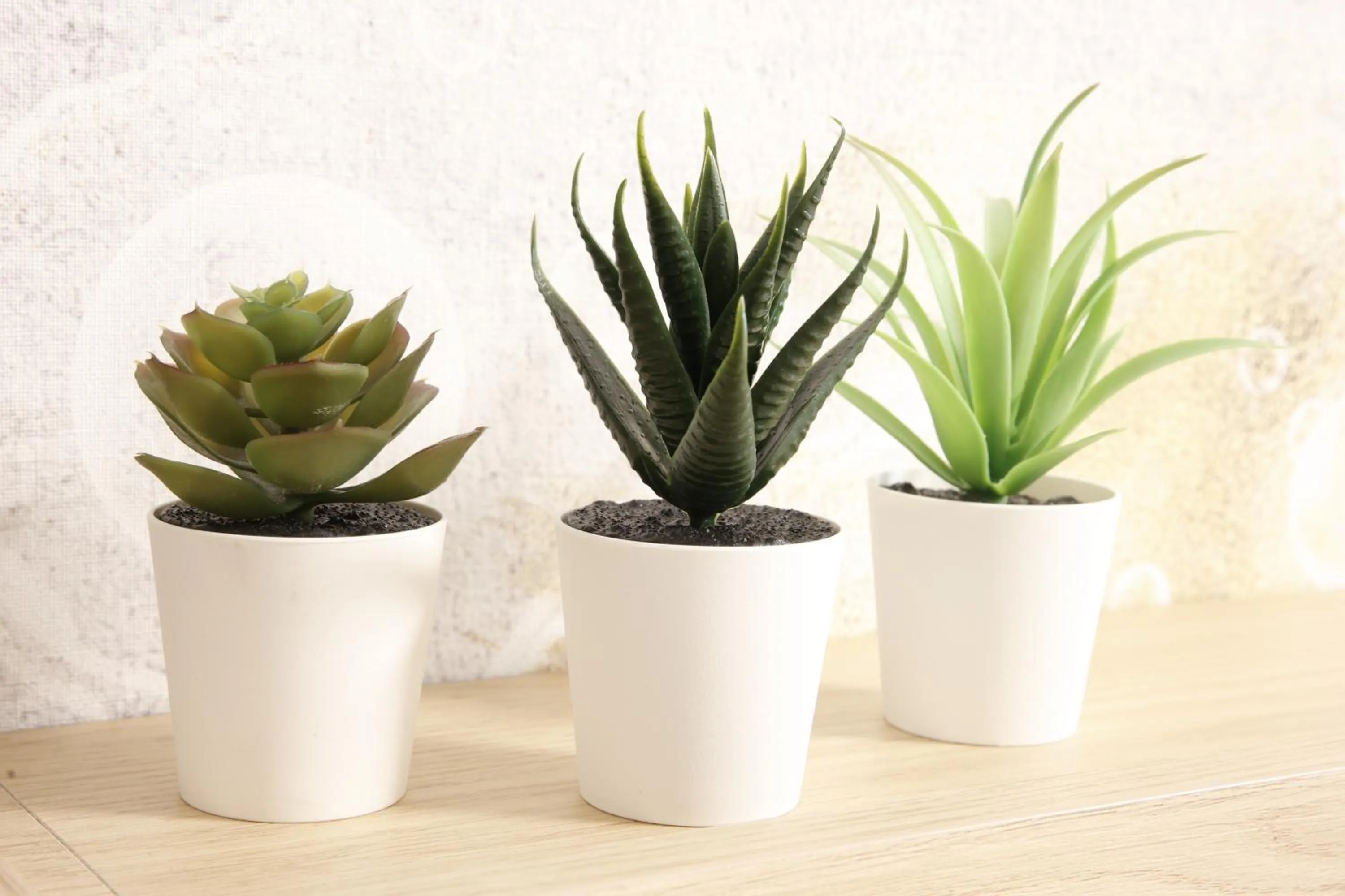 Staff in FLORAMARE HEALTH RESORT