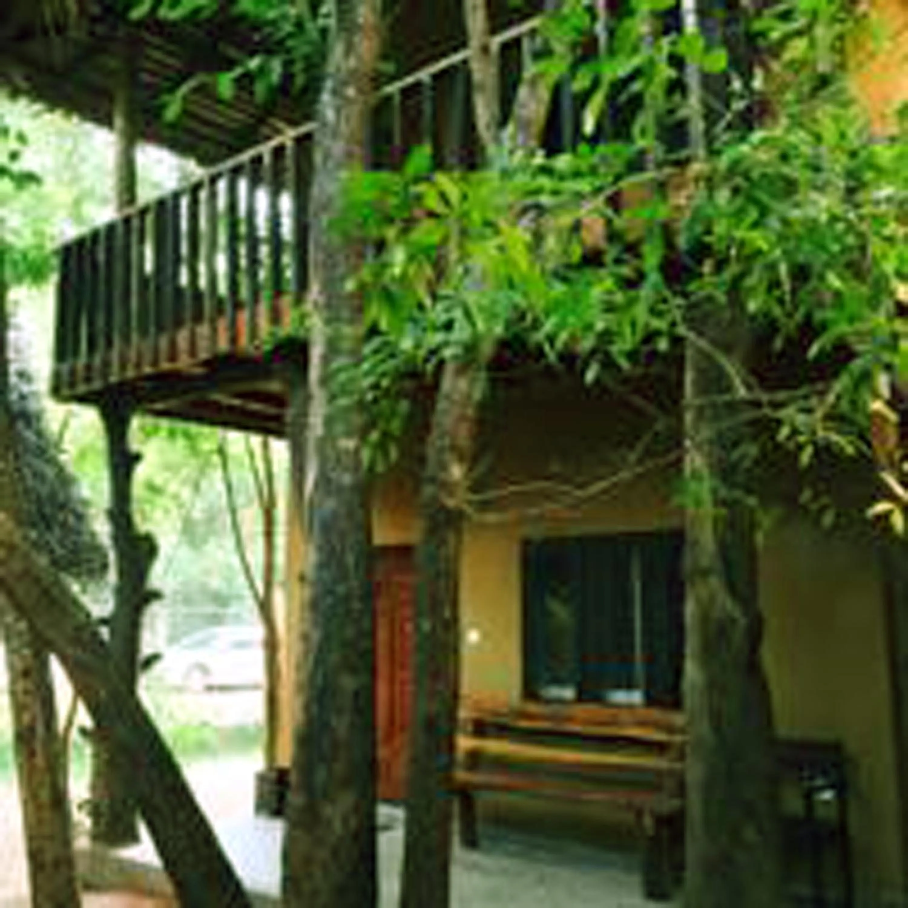 Garden view in A4 Villa & Spa.