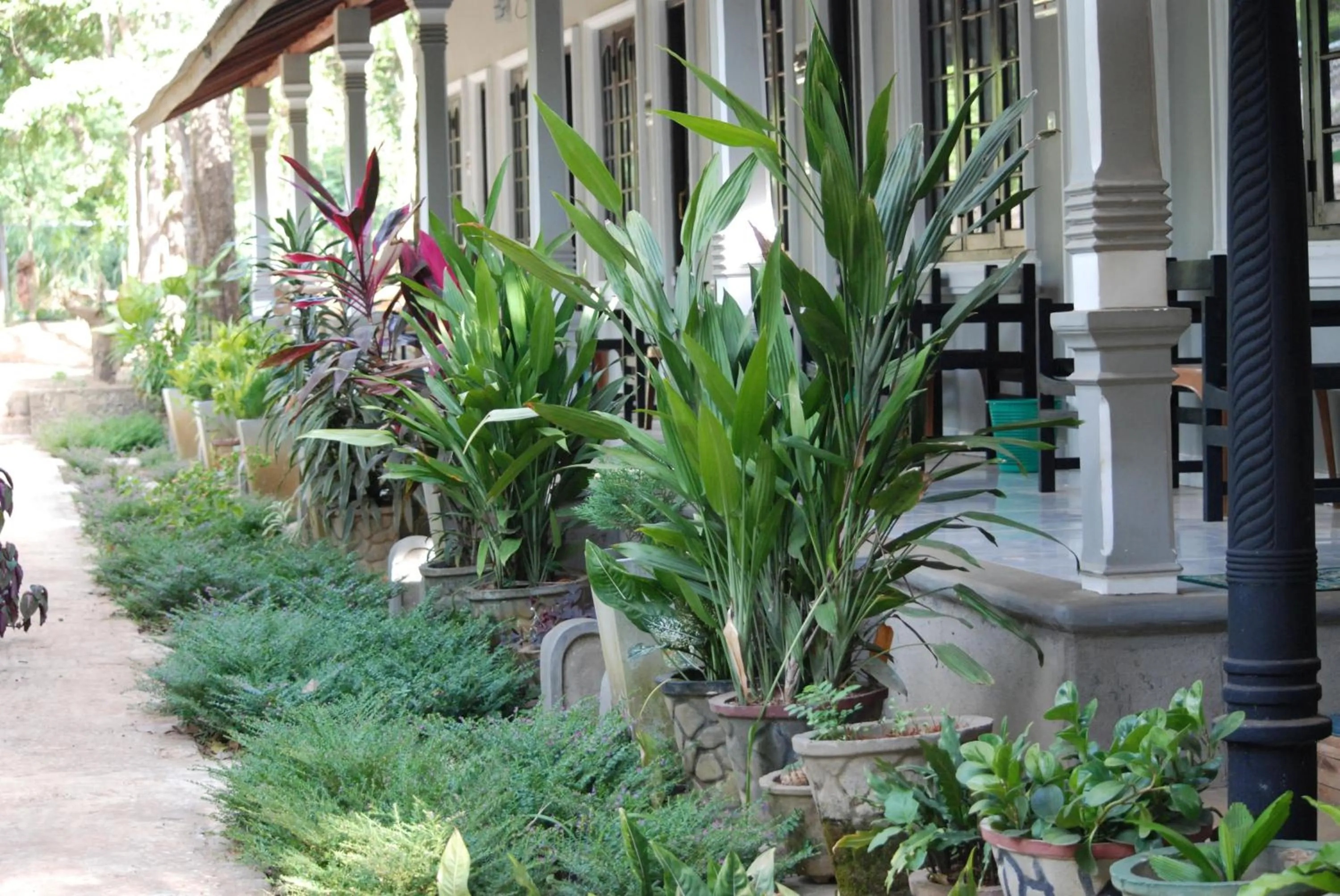 Day in A4 Villa & Spa.