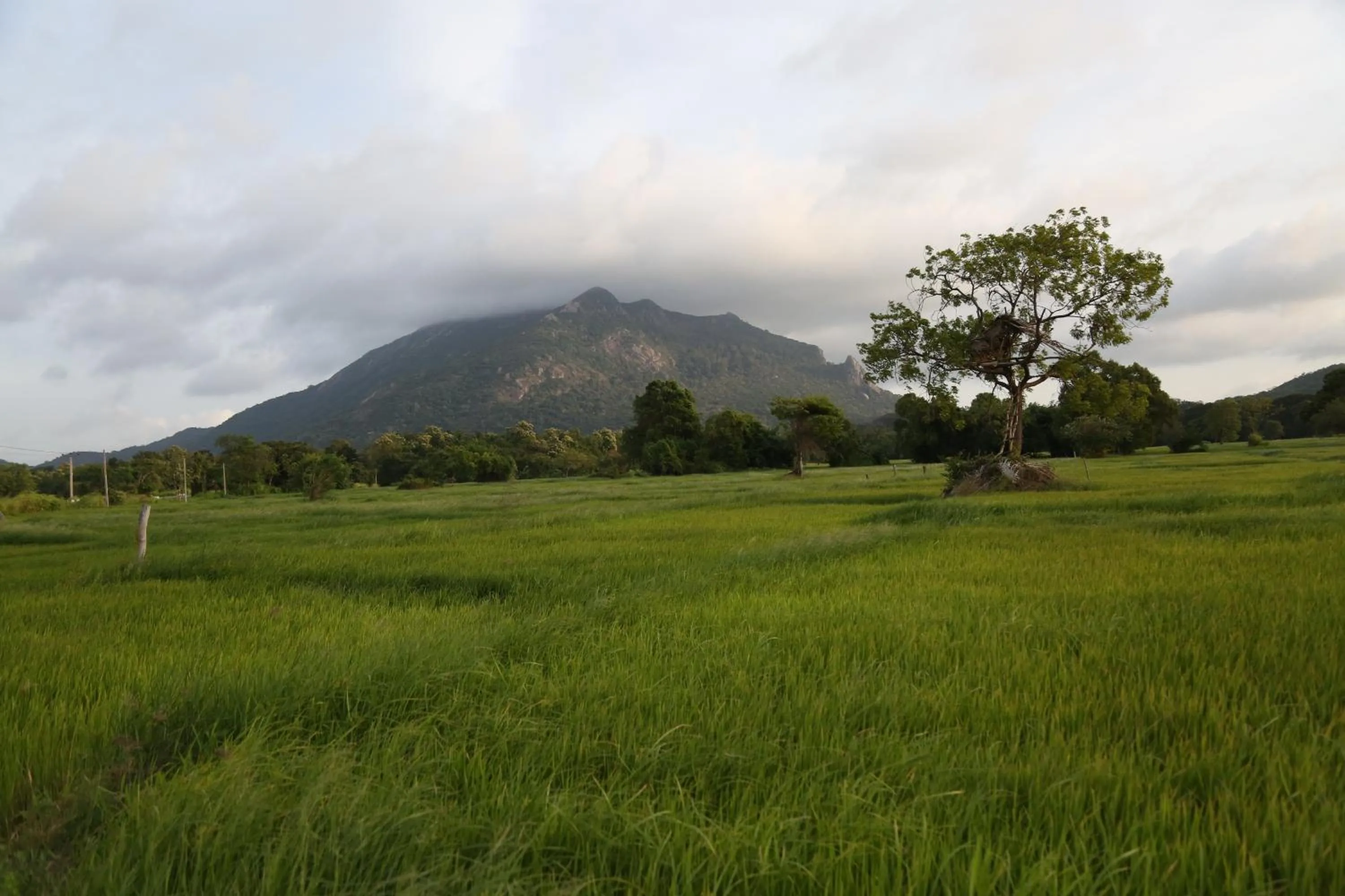 Area and facilities in A4 Villa & Spa.