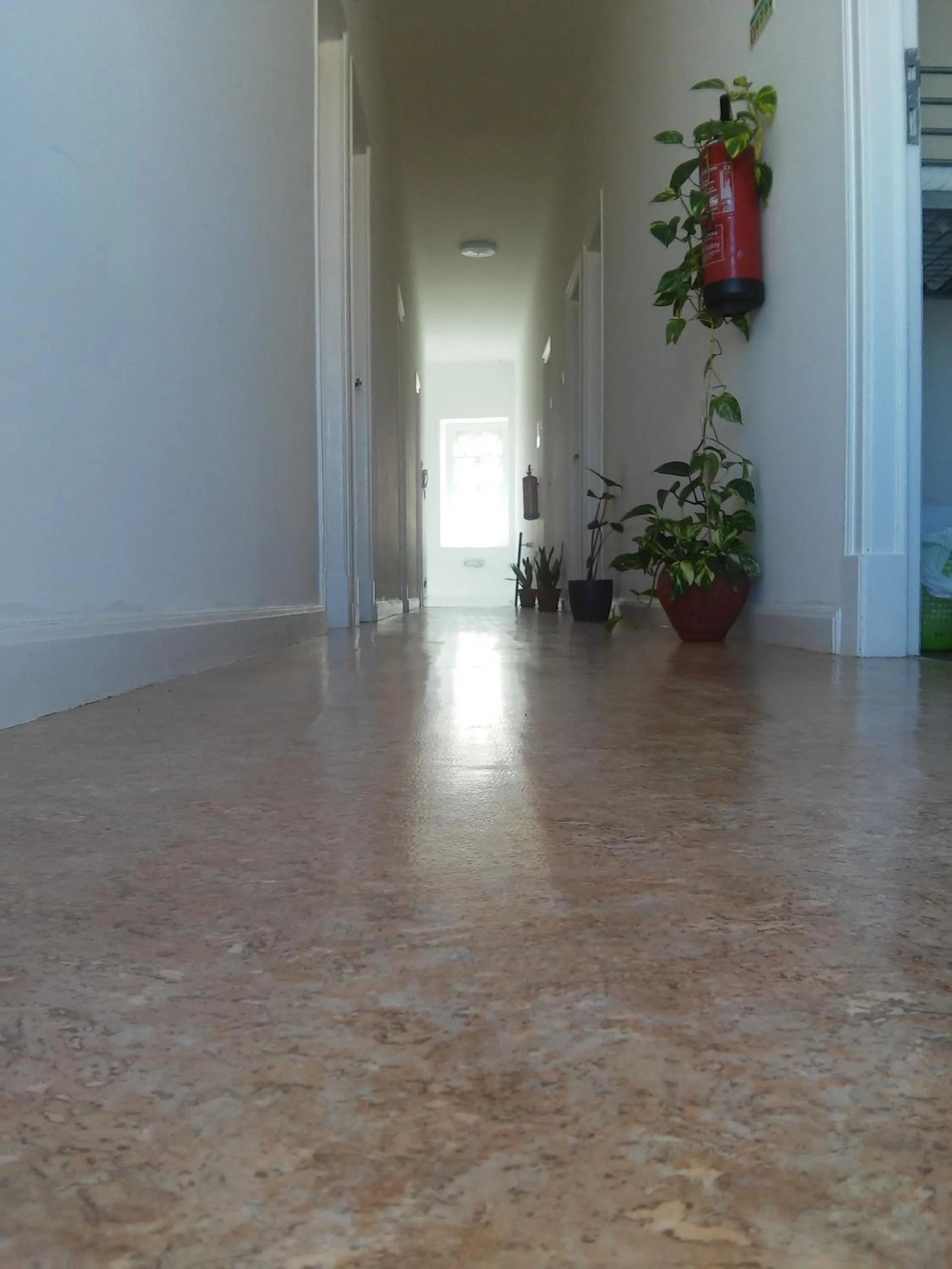 Decorative detail in White Sun Hostel