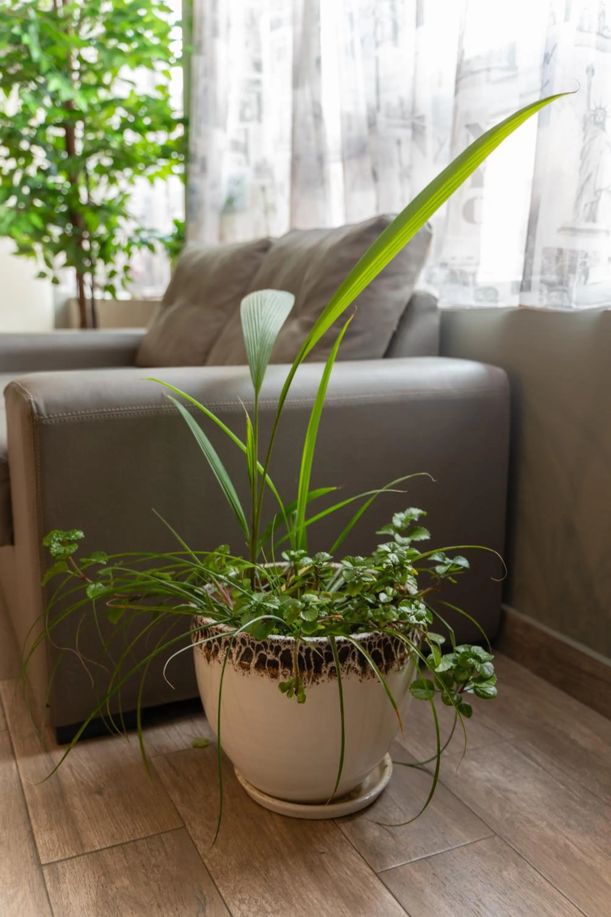 Seating area in City Hotel