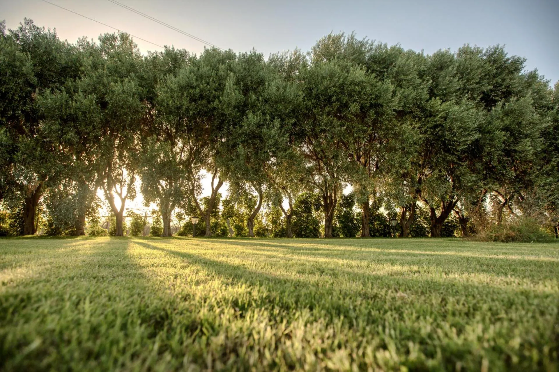 Spring in Casal Sikelio
