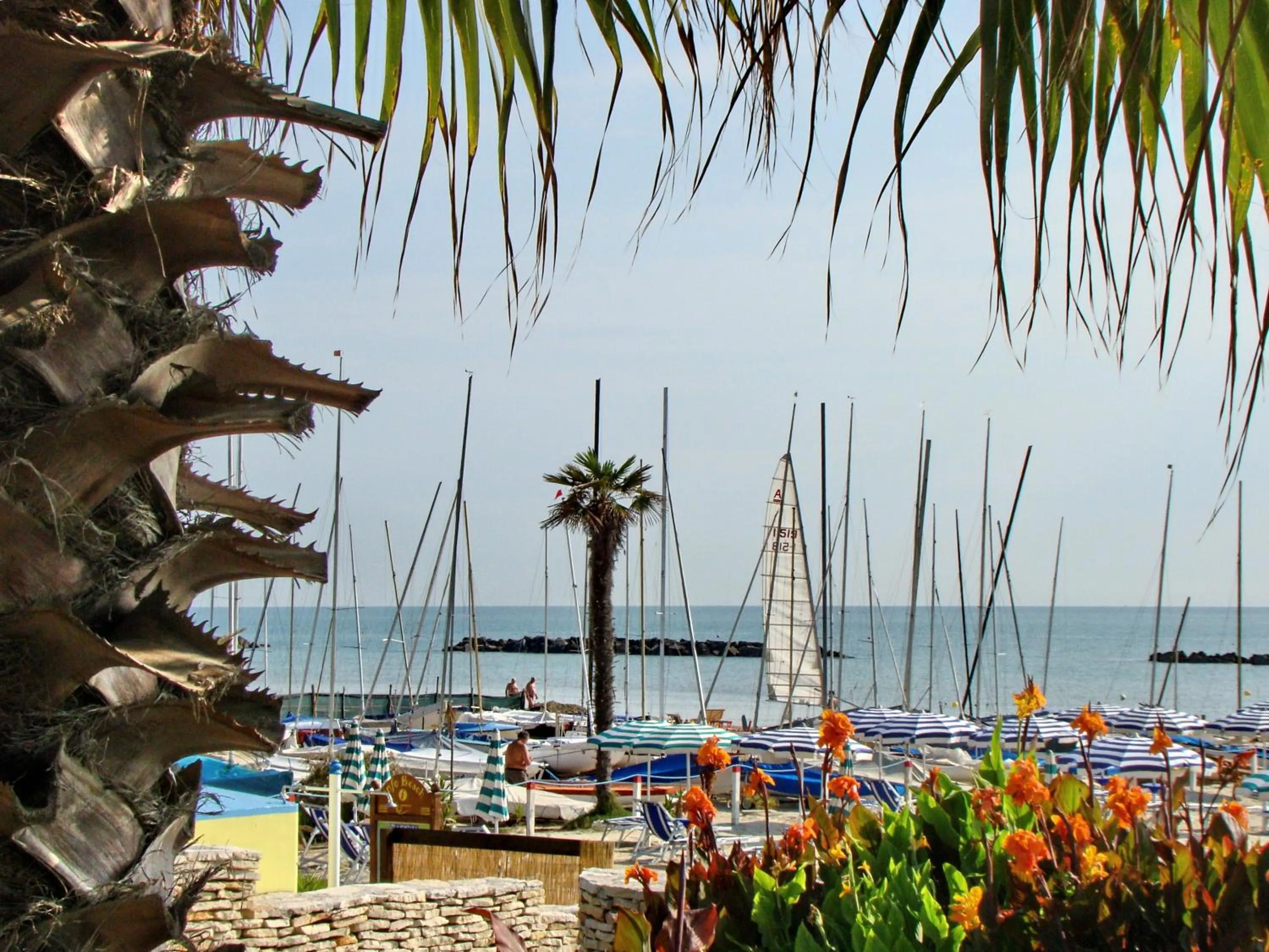 Area and facilities in Residence Acquamarina