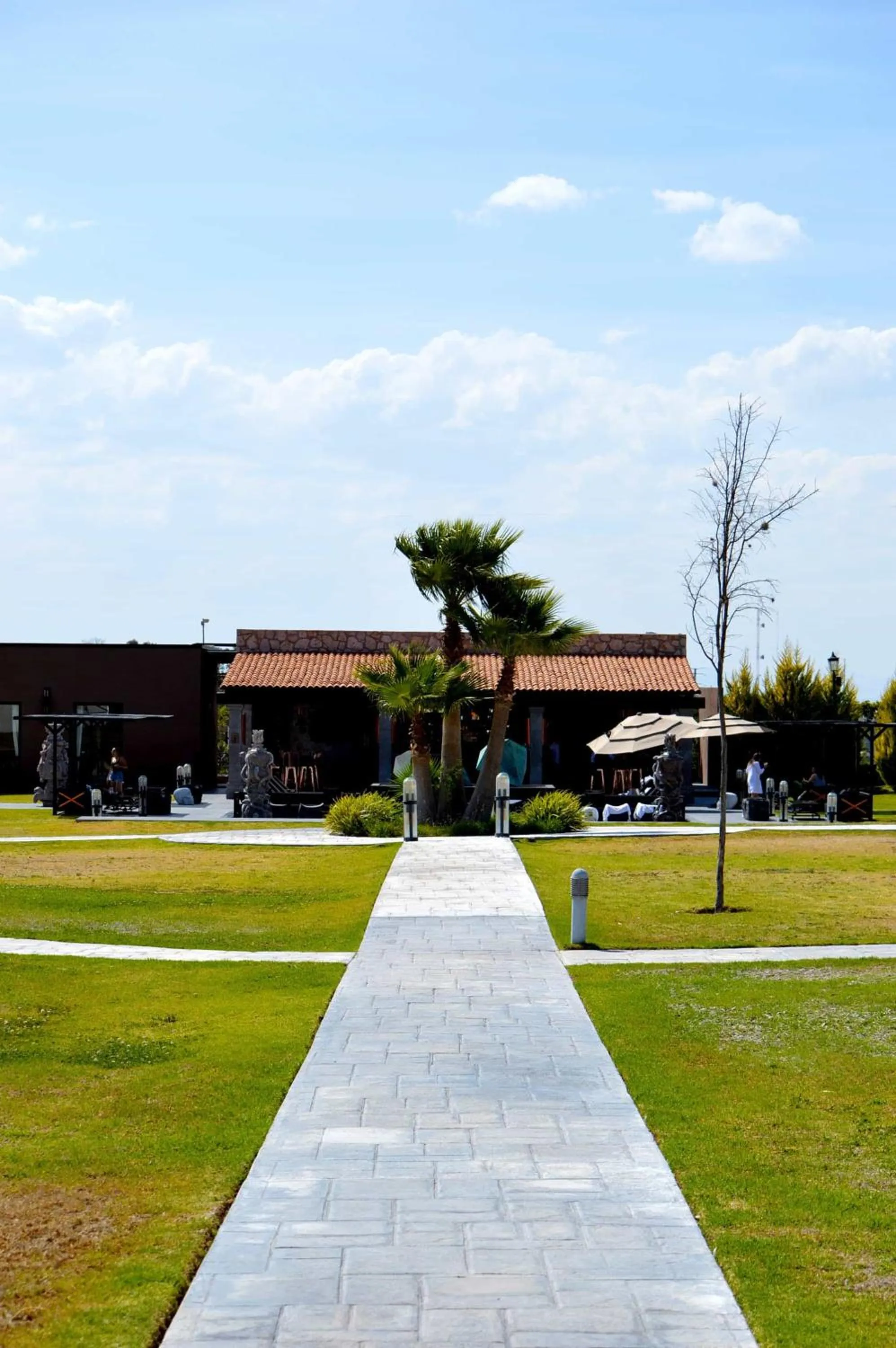 Natural landscape in Hacienda Los Picachos