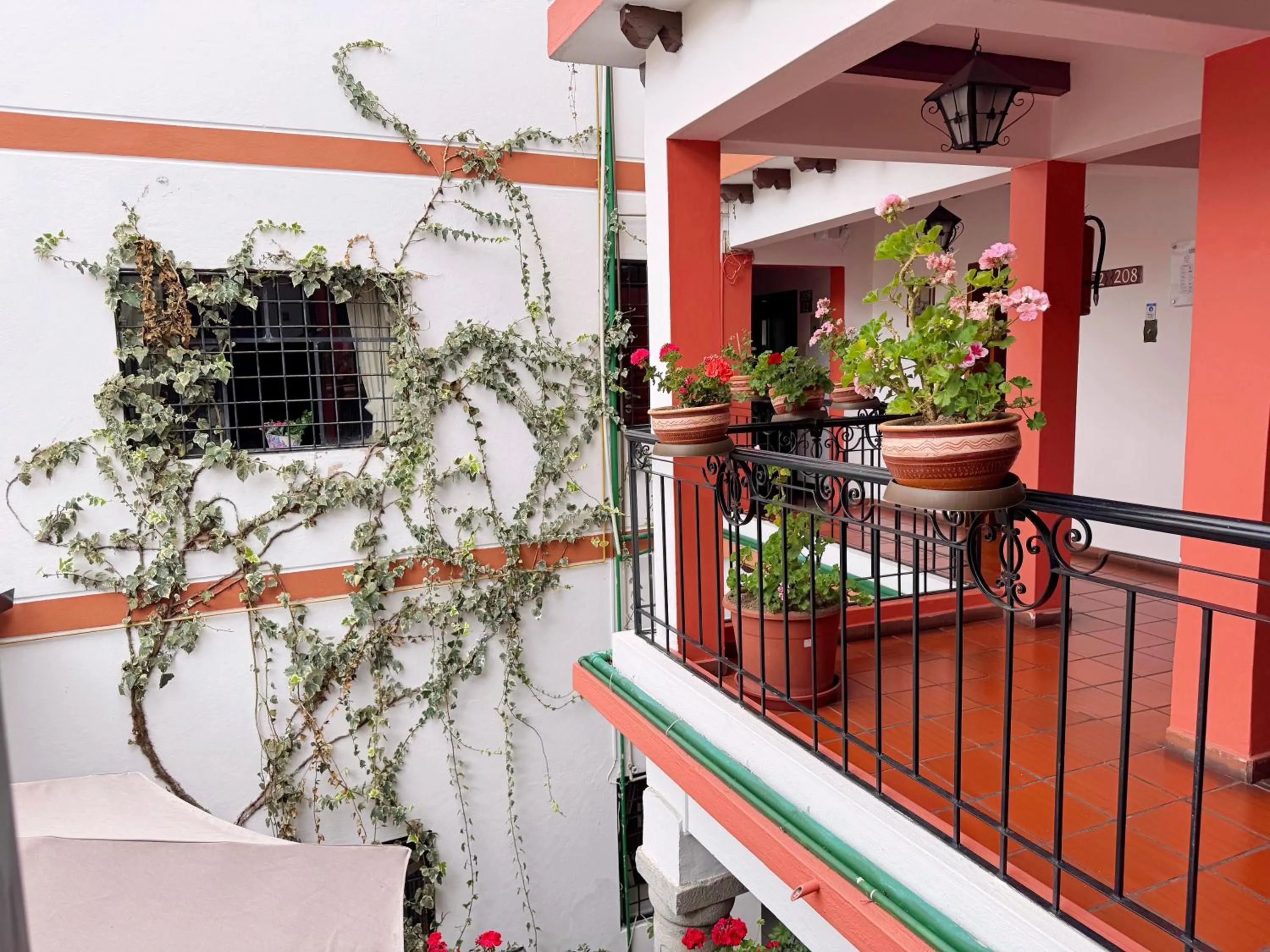 Garden in Rincón Familiar Hostel Boutique