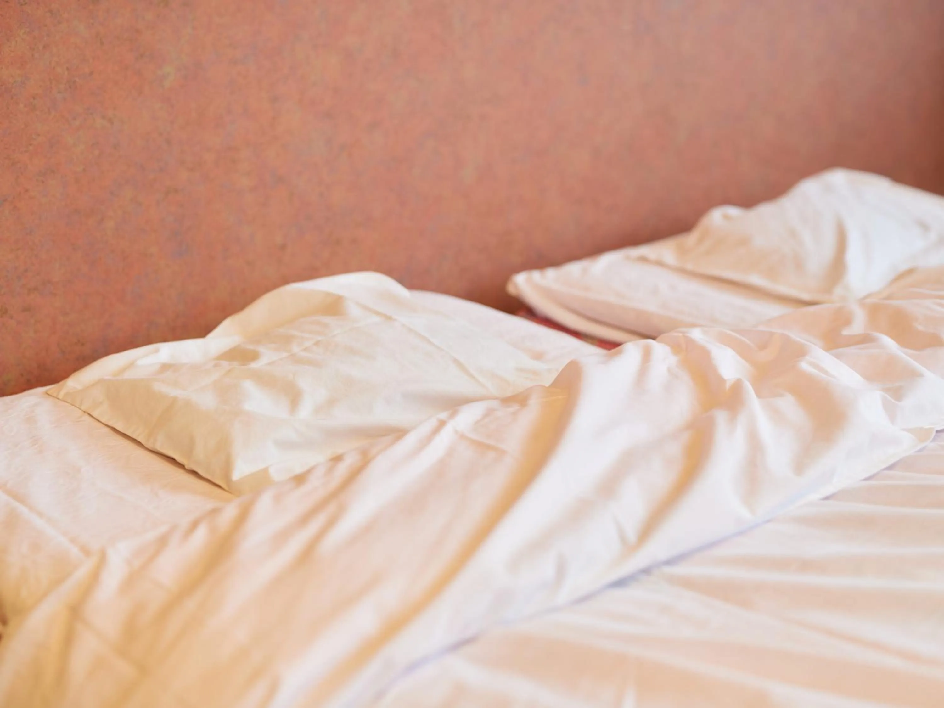 Photo of the whole room, Bed in Hayamasou