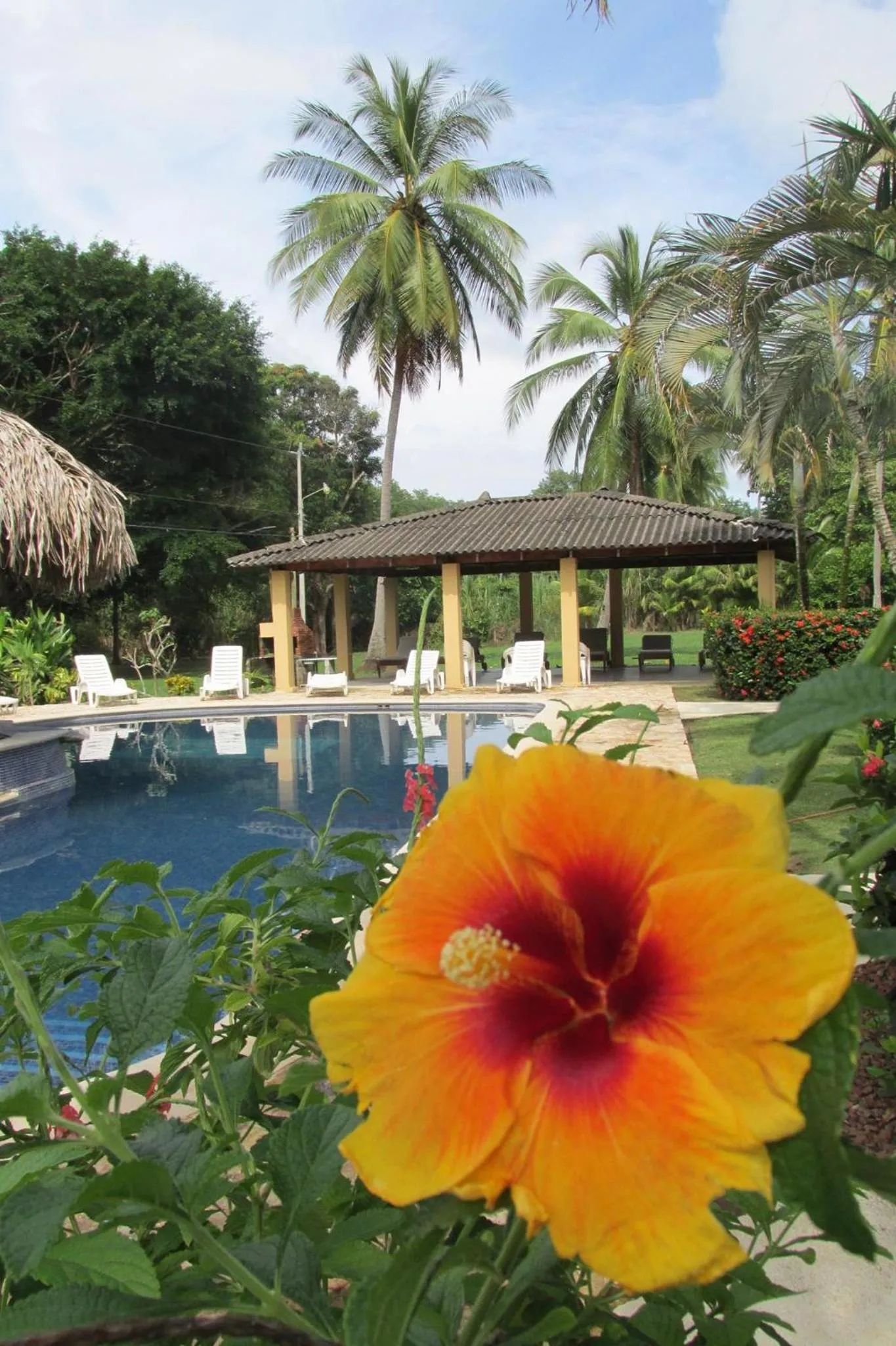 Property building in Hotel Delfin Playa Bejuco