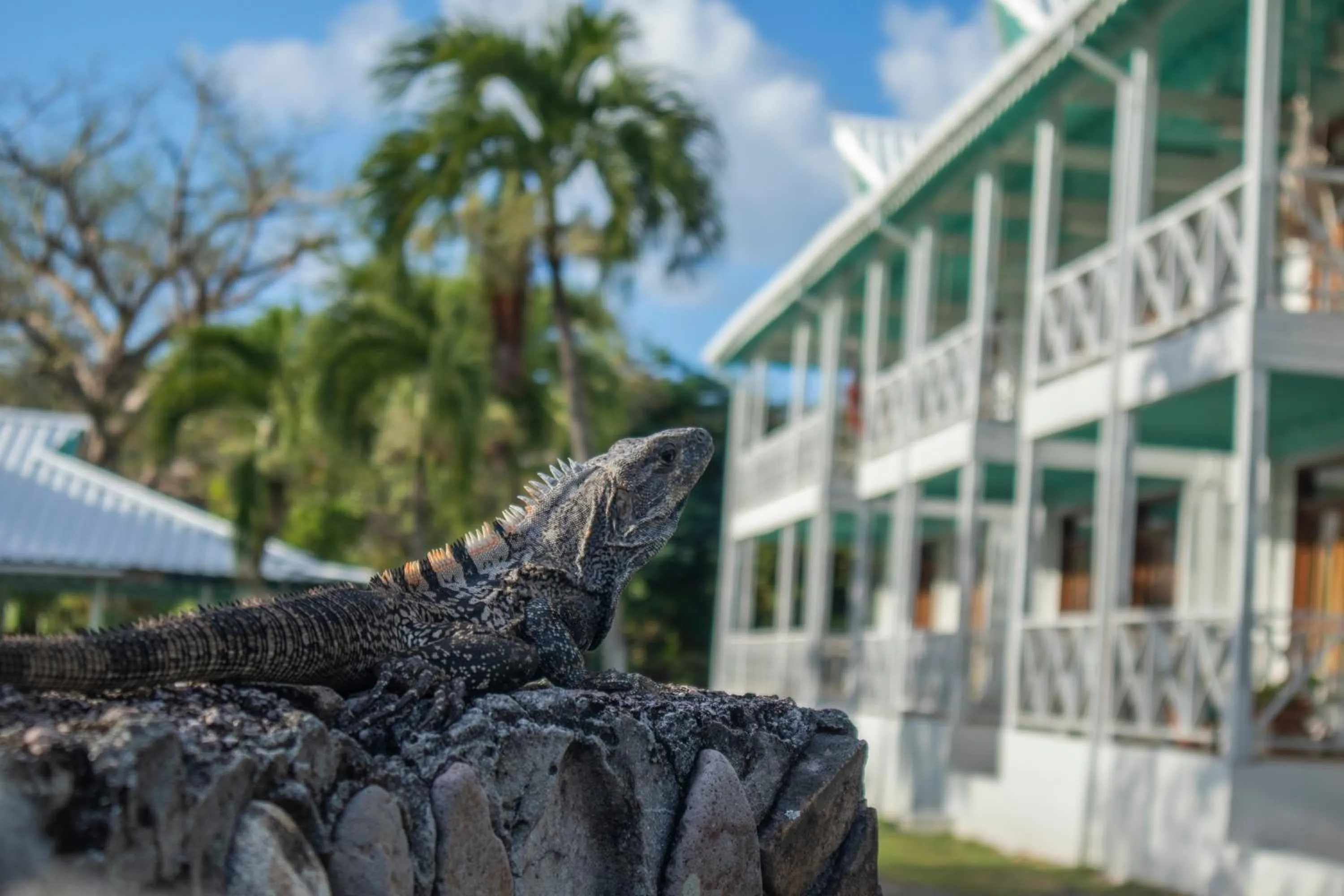 Property building in South West Bay Cabañas