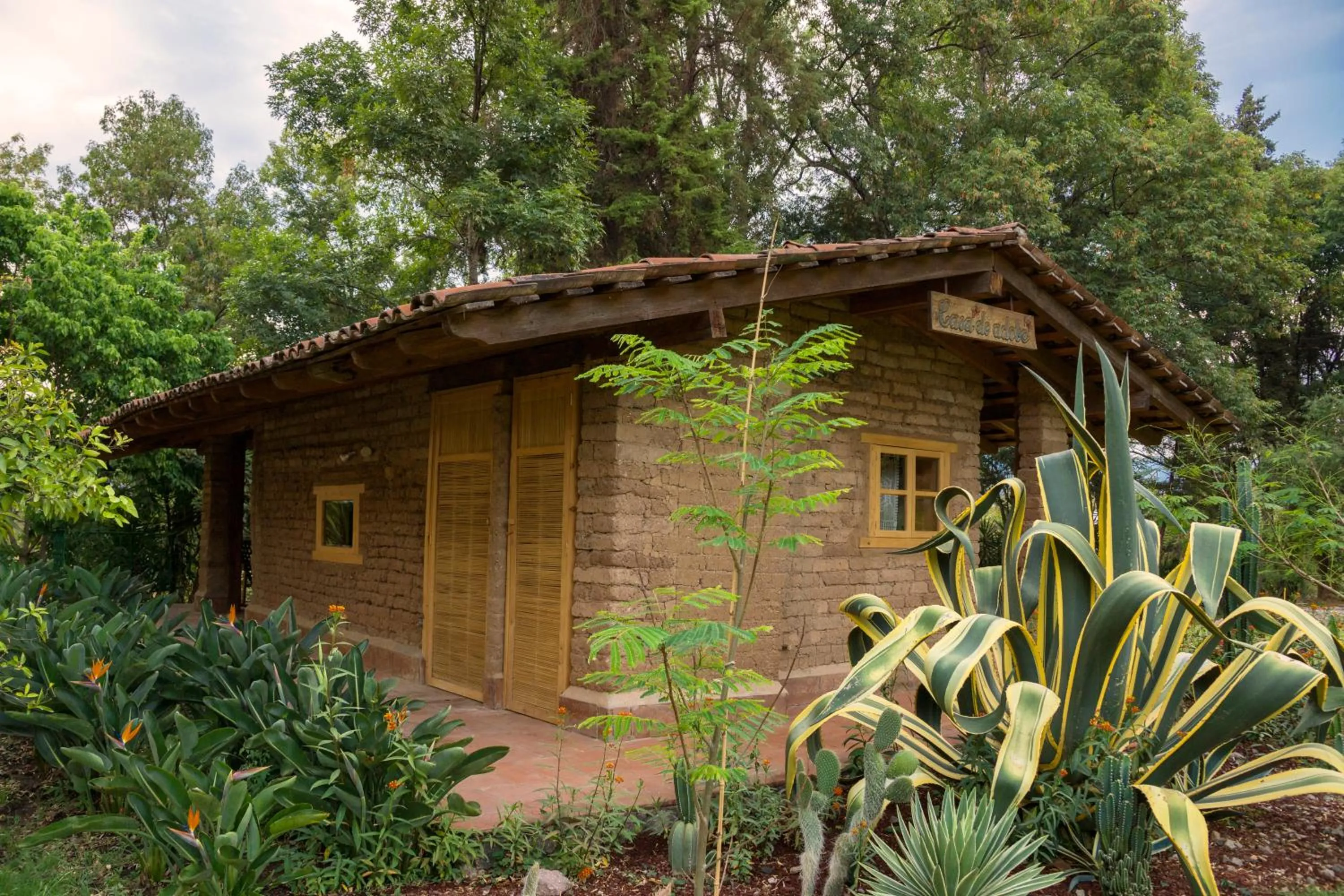 Garden in Hotel Rancho San Cayetano